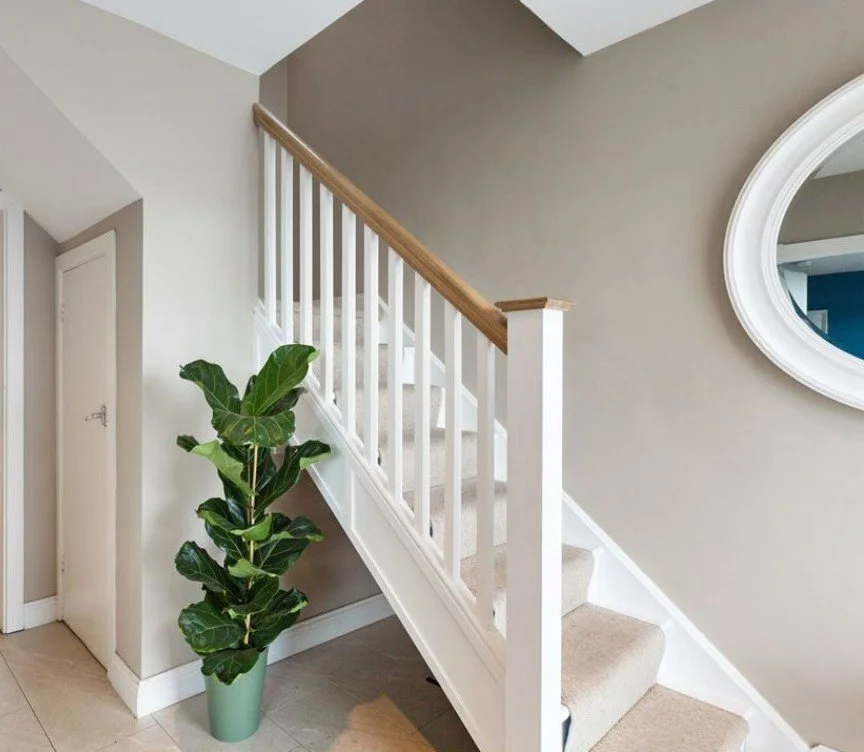 Interior view of a staircase with white railings and beige carpet, a large green potted plant, and a round mirror on a beige wall.