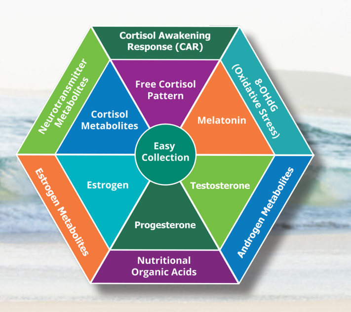 Navigating Menopause with the DUTCH Test: A Complete Hormone Analysis