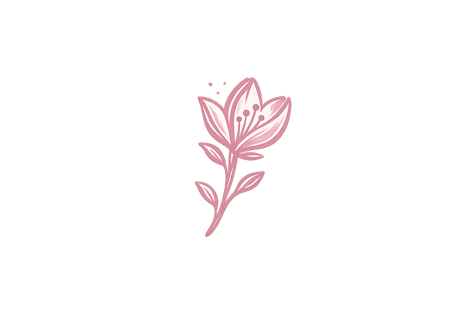 Minimalist cherry blossom fully bloomed