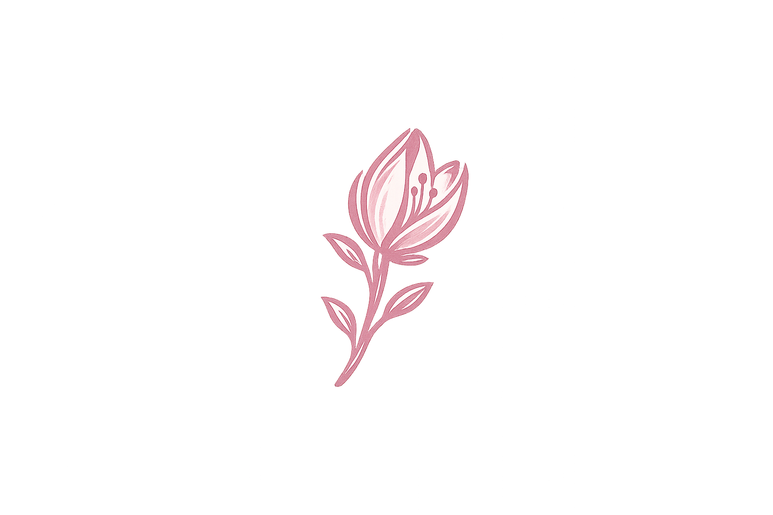 Minimalist cherry blossom half-bloomed