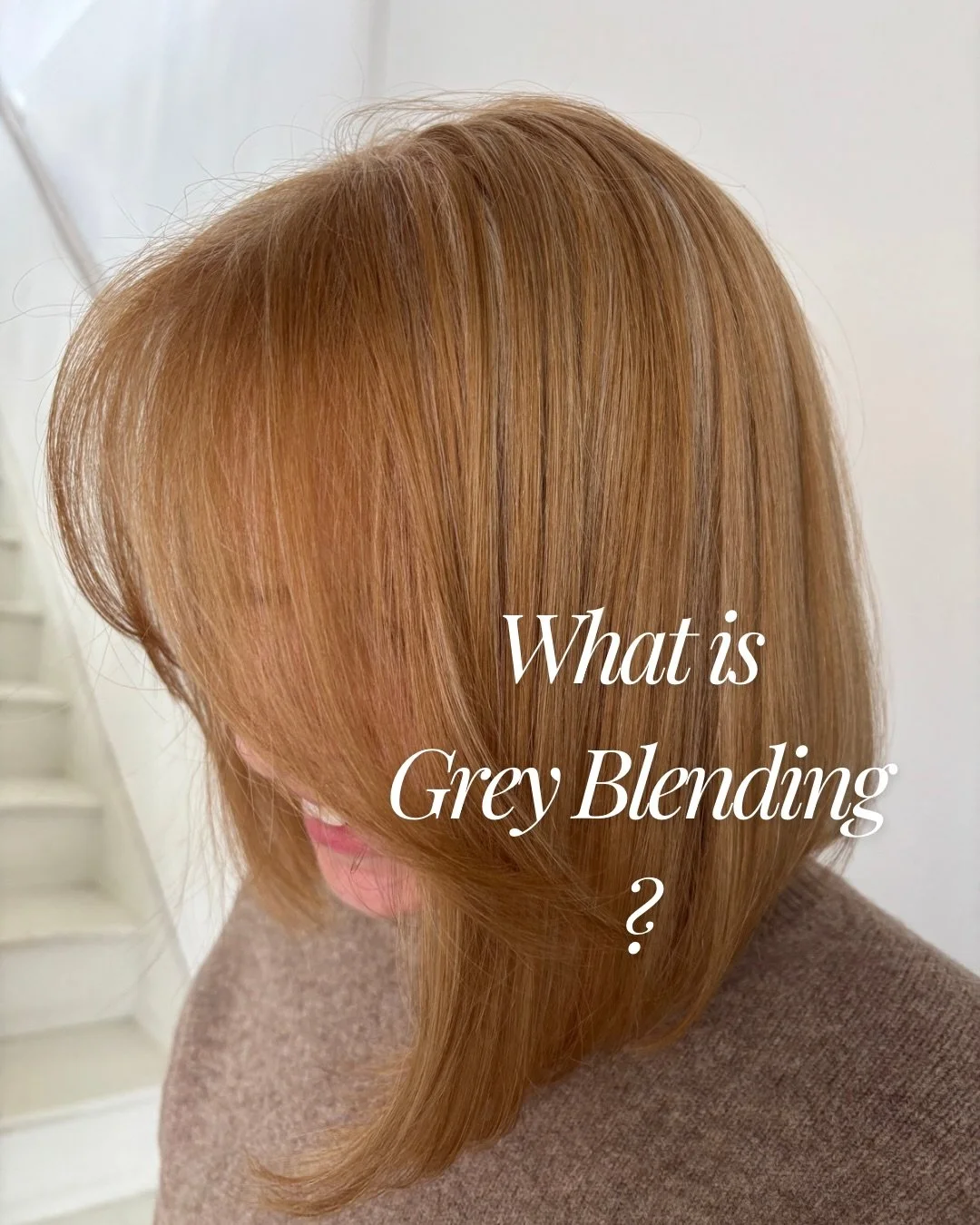 What is Grey Blending ? 

Your colour, just beautifully blended ✨

This is my all time fav service at the moment, injecting colour, depth and tone that may have faded because of grey hair appearing

How do I create this ? 

Strategic foil placement 
