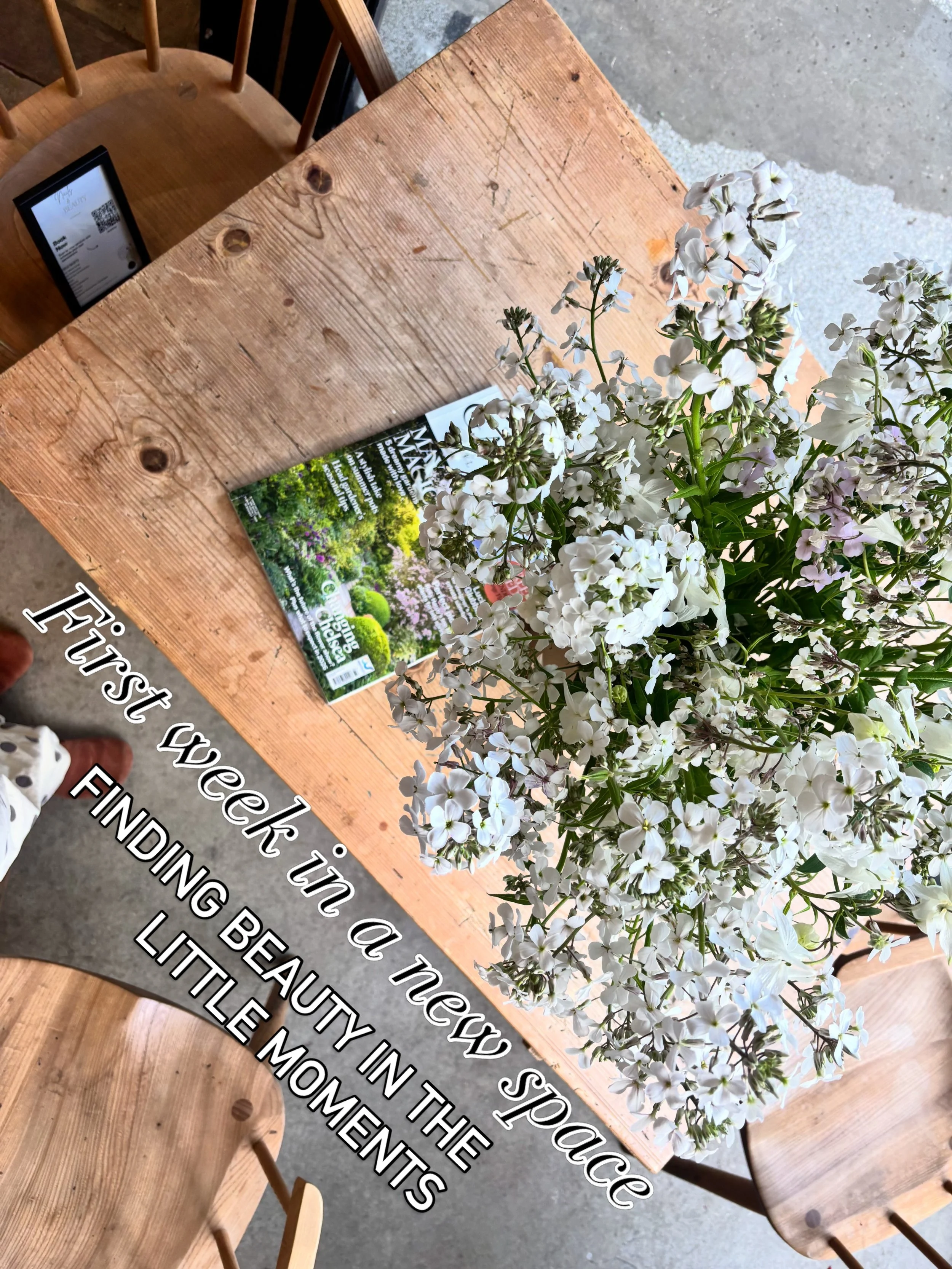 Whilst working in my new space the past week , I&rsquo;ve enjoyed finding beauty in the little moments✨

#salondecor
#somersetsalon
#redken
#fromehairdresser
behindthechai