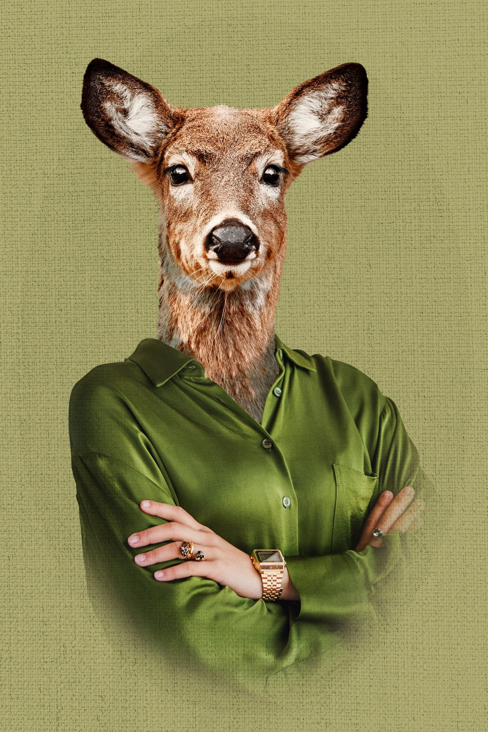 Deer Business Lady.jpg
