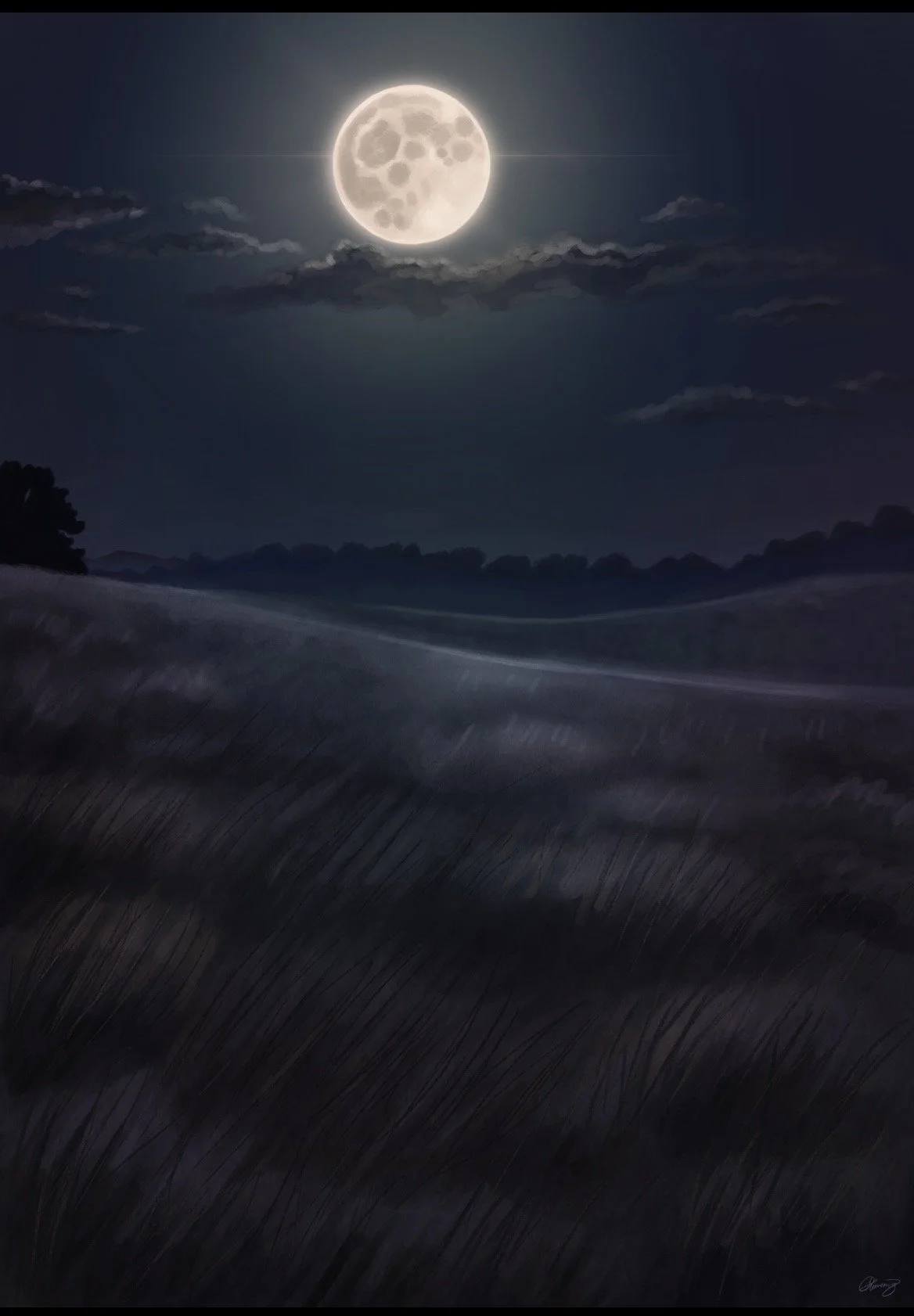 Moonlit Field.jpg