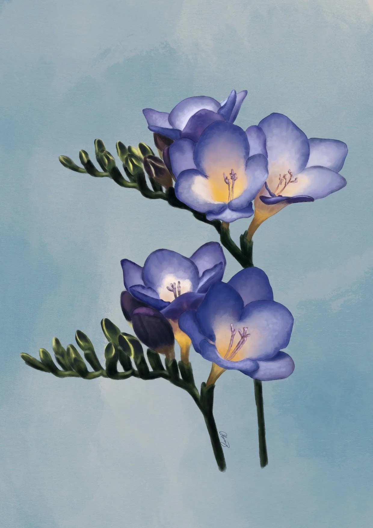 Freesia.jpg