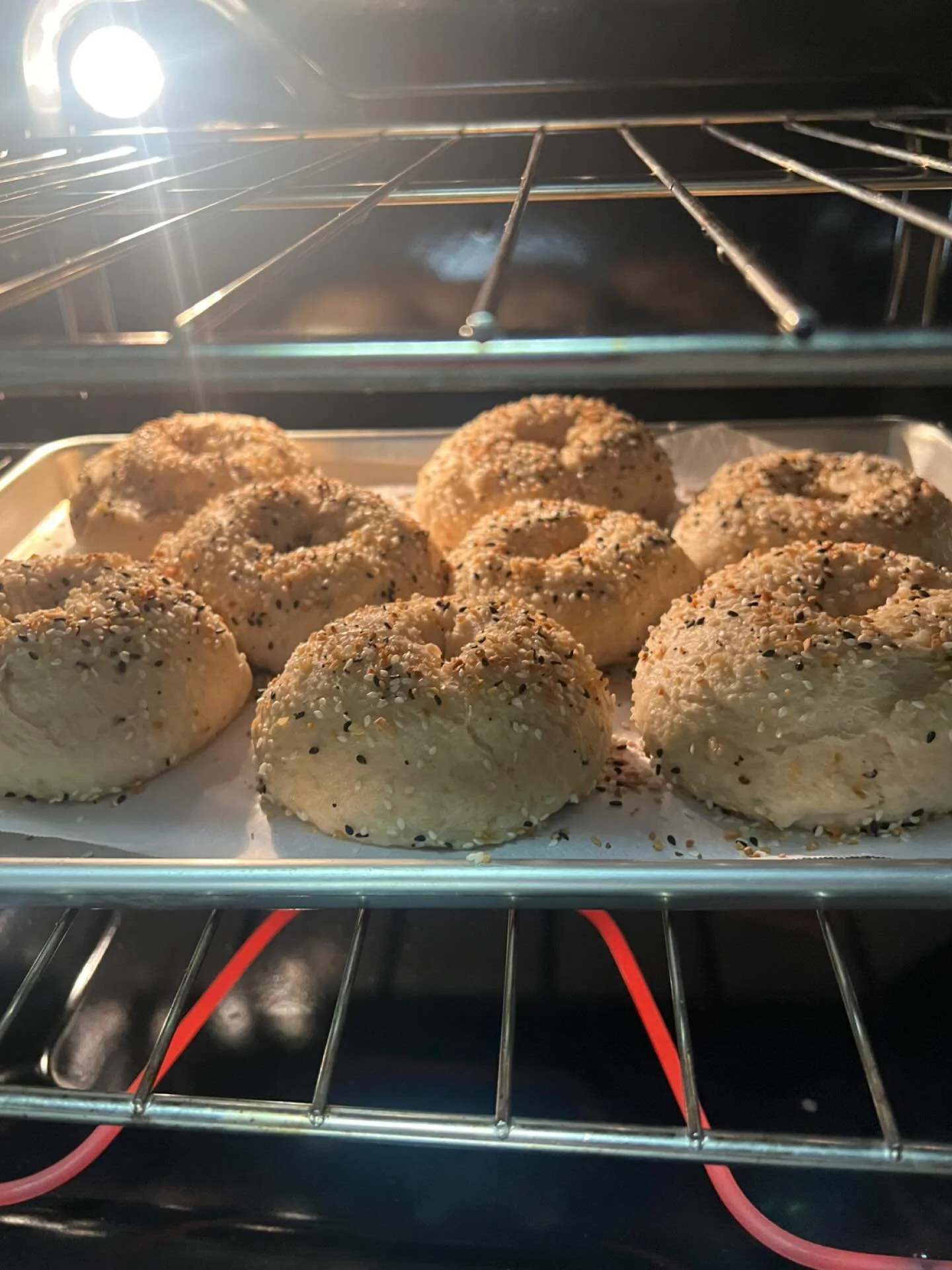 Everything bagels ✅ #jardinsjava