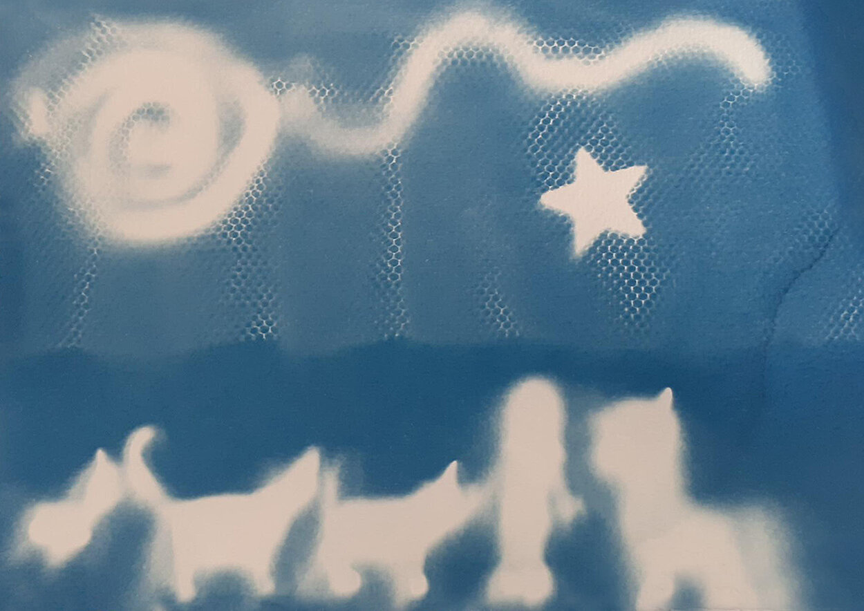 Maryam_Lovely Sunny Day’.jpeg