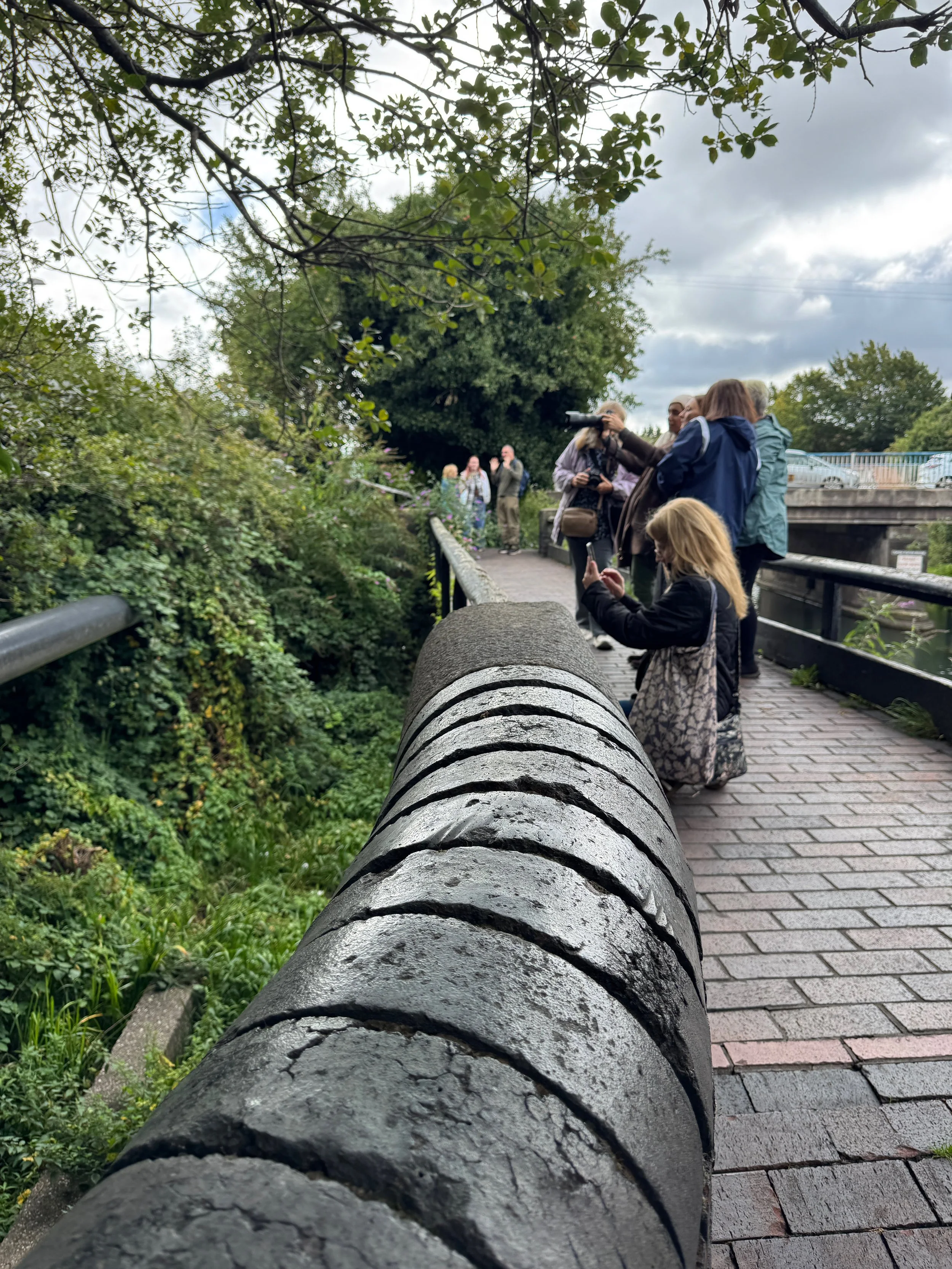 IMG_7836.jpeg