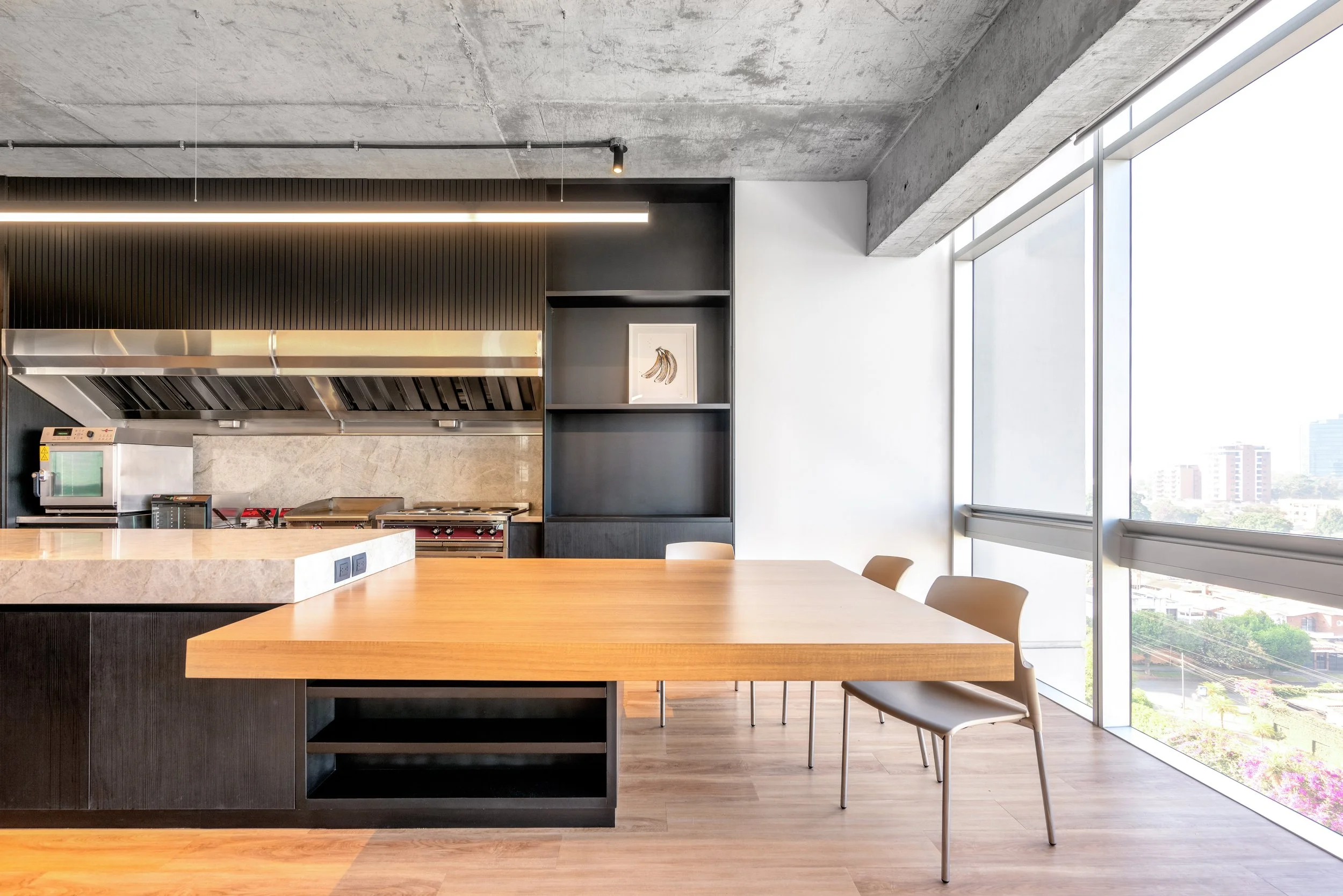 Elemento SD Cocina Agroamerica-1.jpg