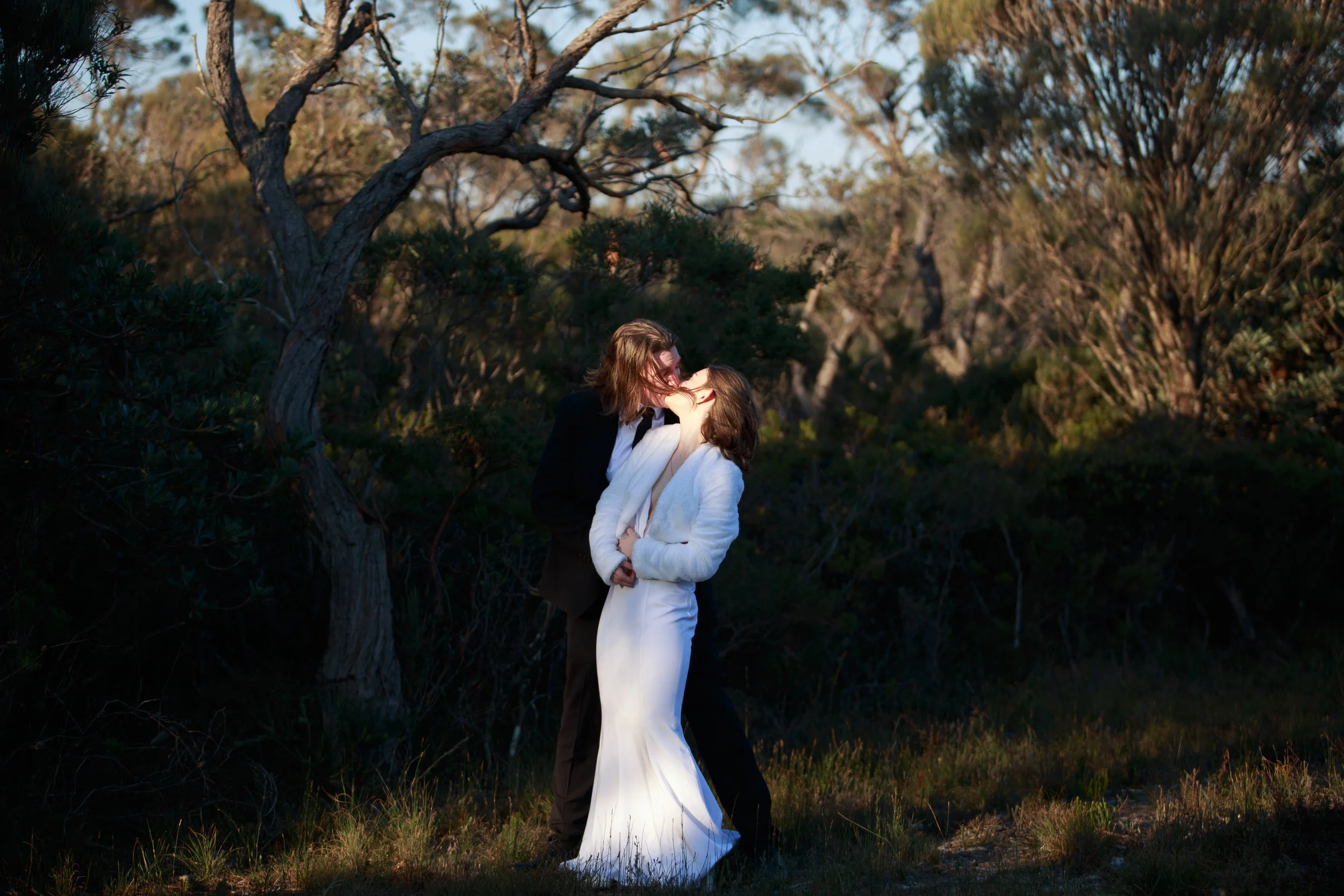 A couple embraces at sunset during their Blue Mountains elopement, surrounded by golden light and tall grass.