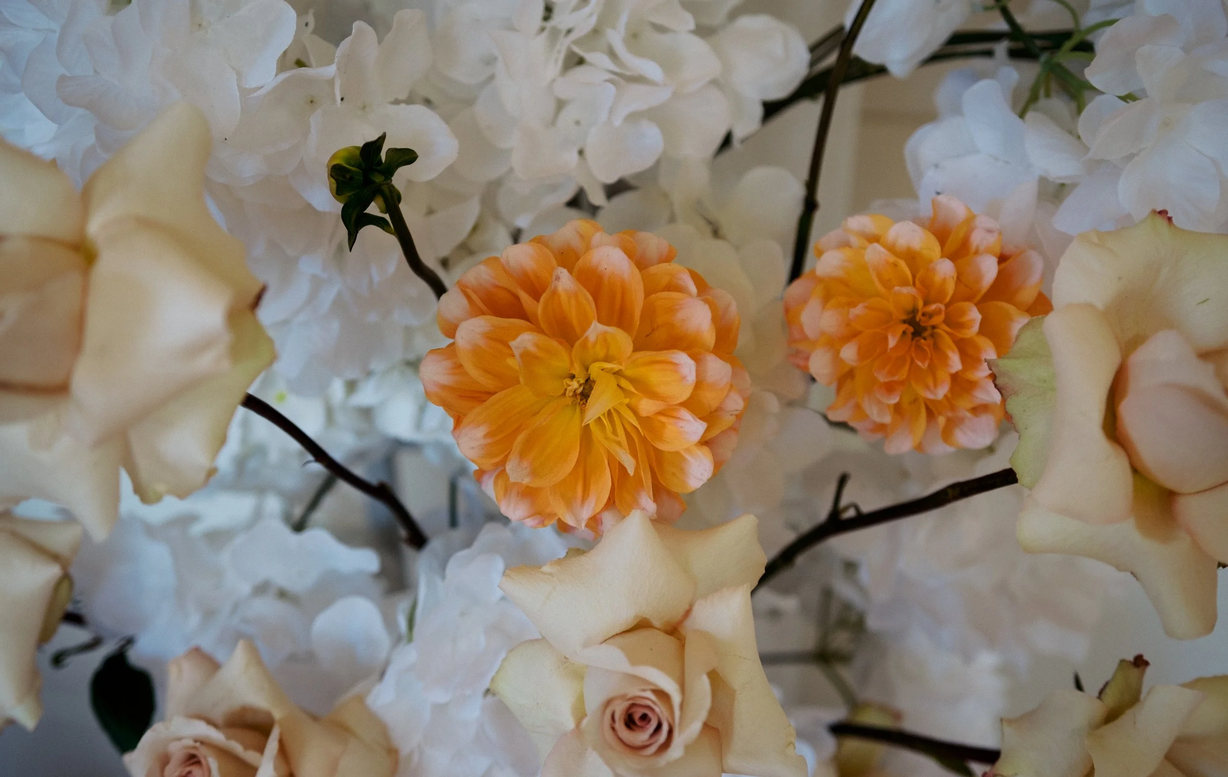 A close-up of creamy white roses and orange dahlias — delicate, timeless florals for an elegant Blue Mountains elopement.