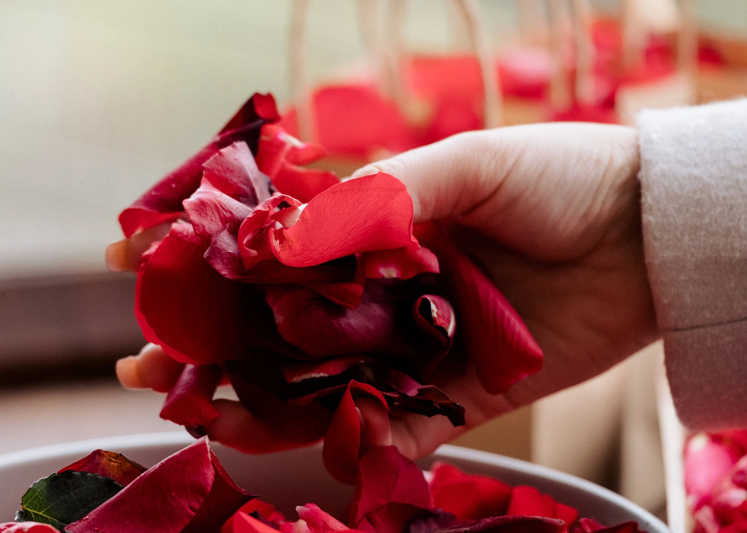 Blue Mountains elopement details romantic wedding petals Penrith intimate ceremony styling