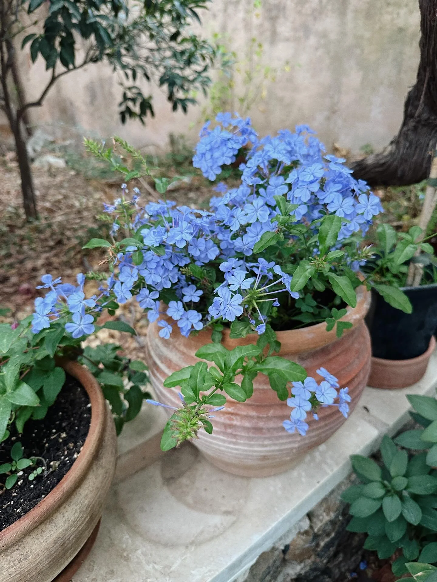 Sometimes colors can save you. 🩵💙💜