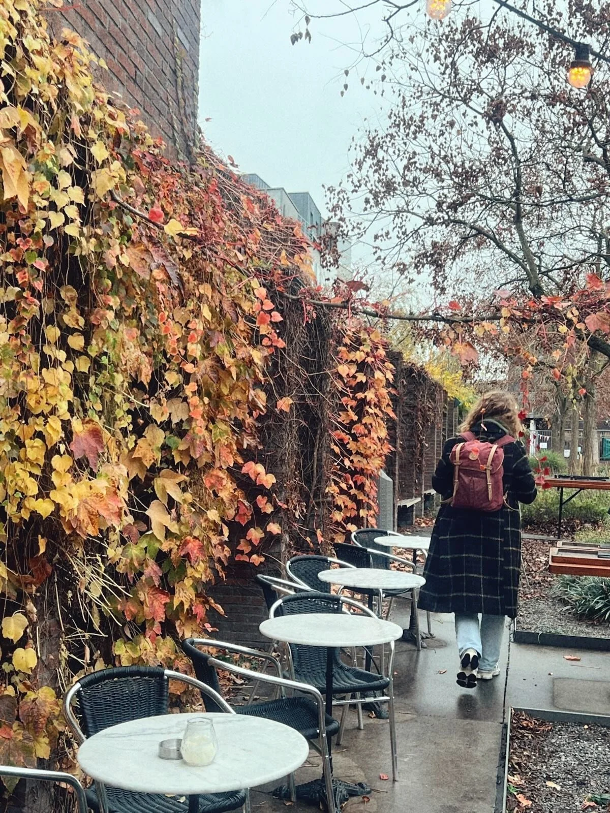 In my element. 🍂 #Antwerp