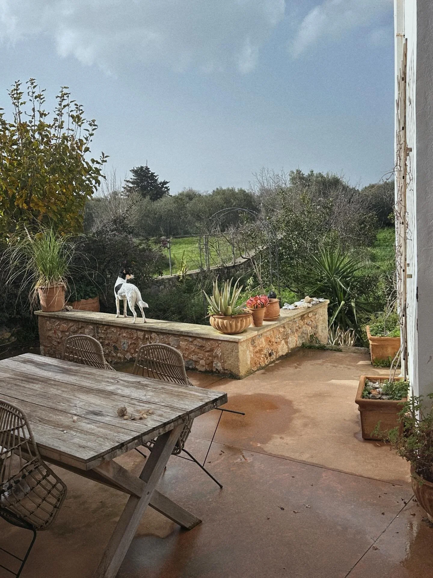 Horizons, where ever you look.