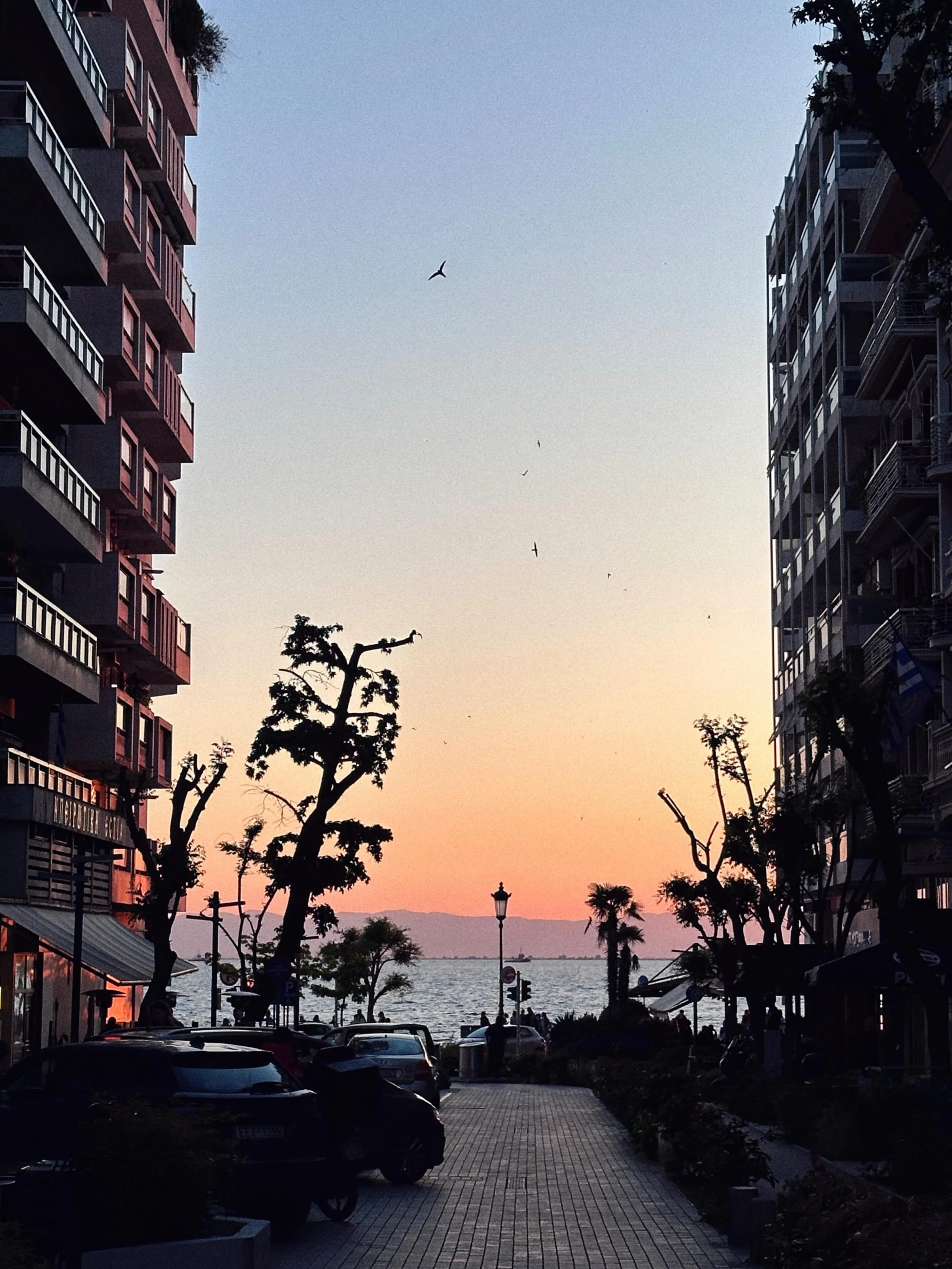 #skg pt.2