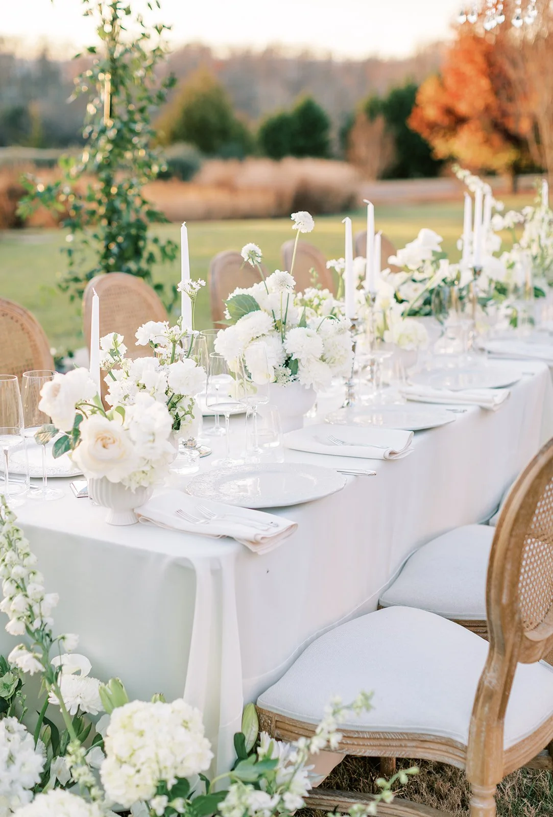 Rachel Jordan Photography
www.racheljordanphoto.com 