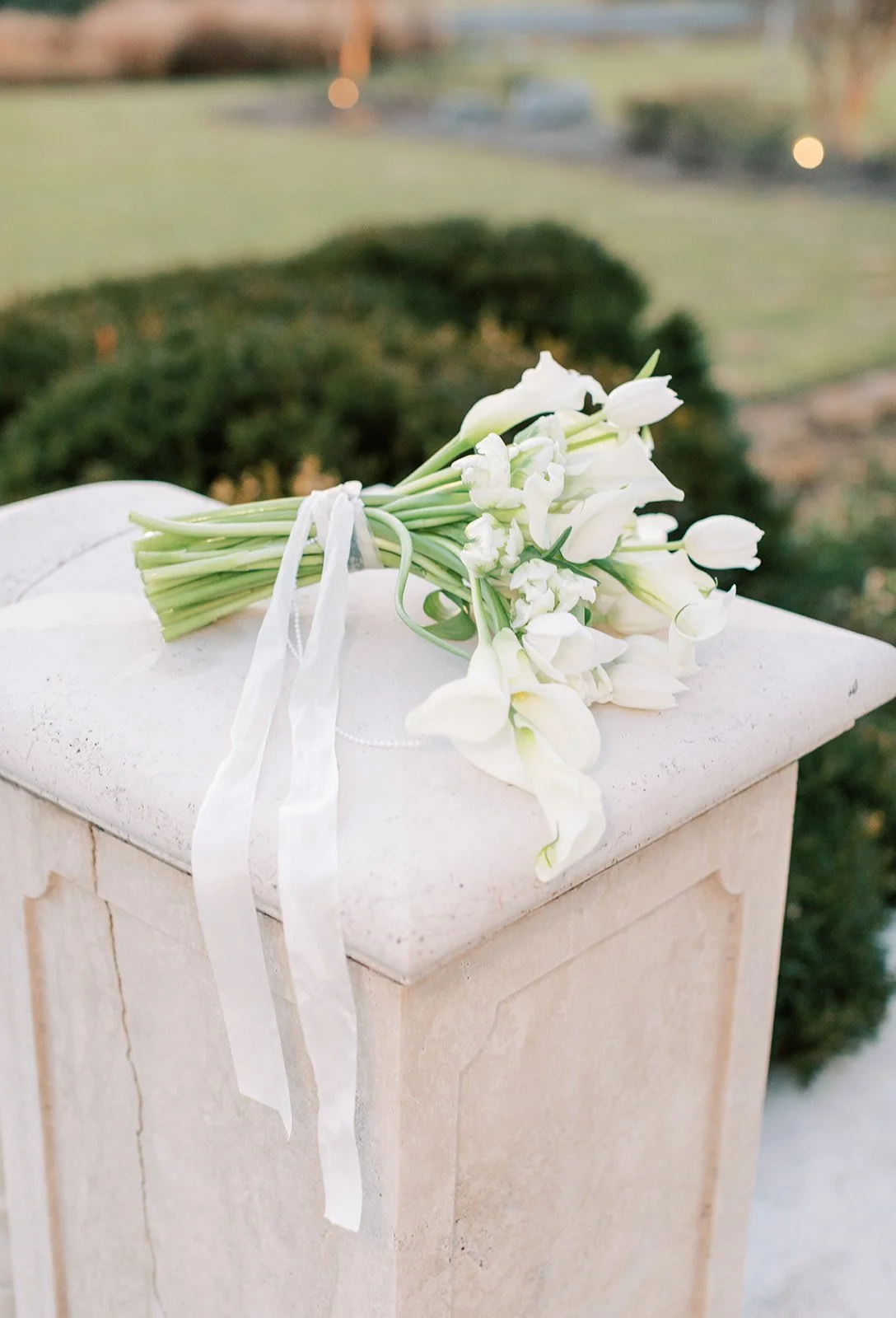 Rachel Jordan Photography
www.racheljordanphoto.com 