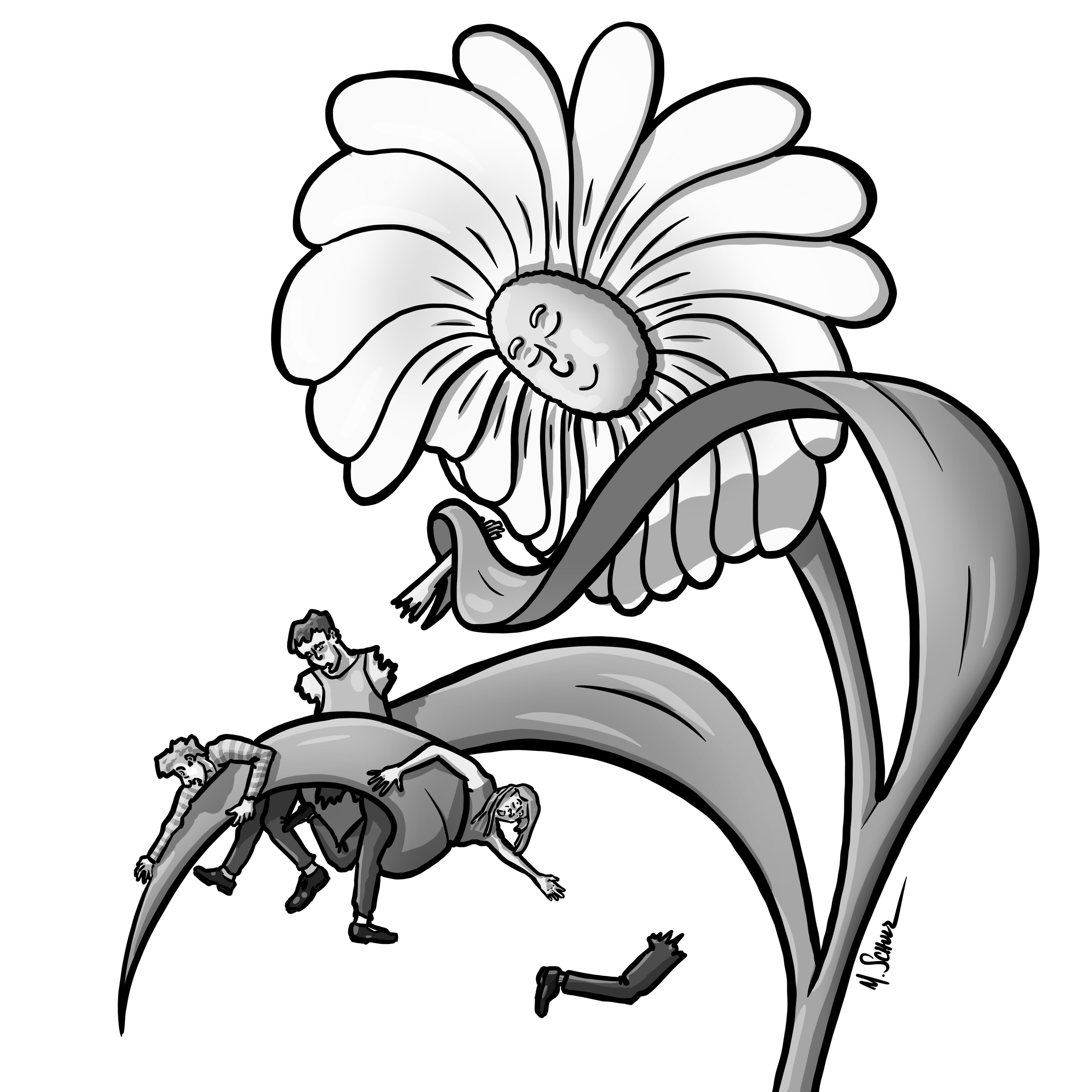 IMG_0537.png