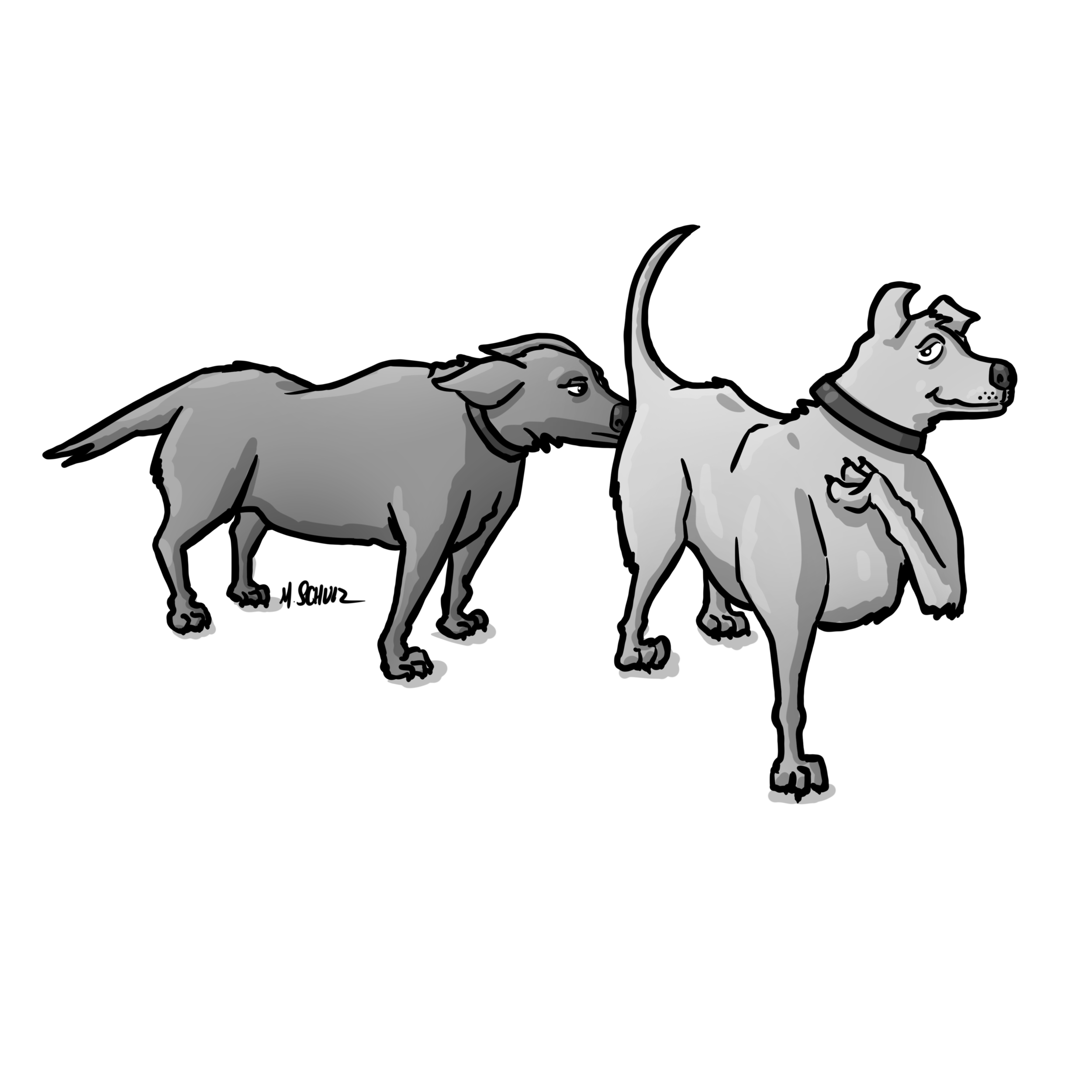 IMG_0538.png