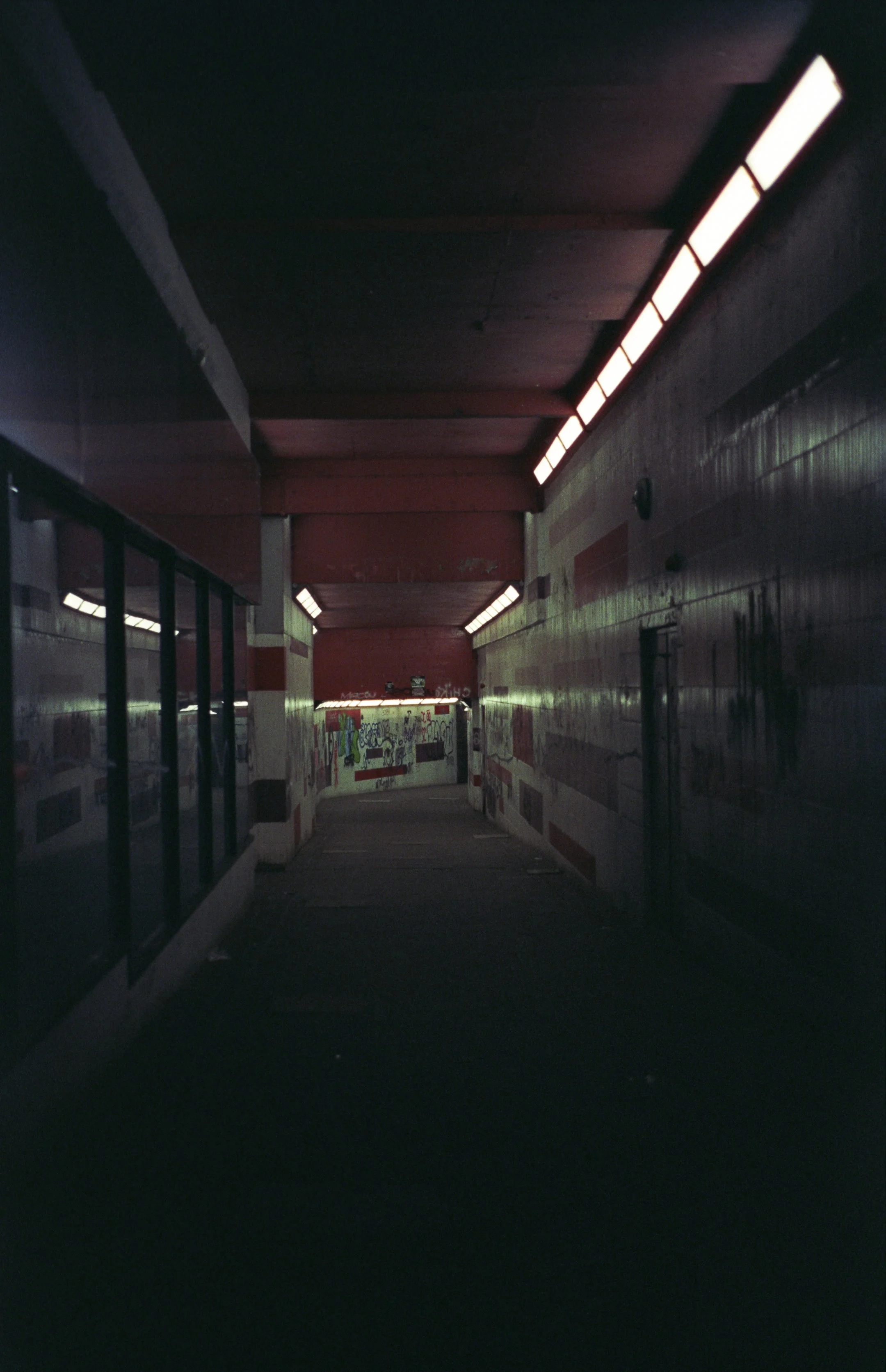 cinestill800-011-instagram.jpg