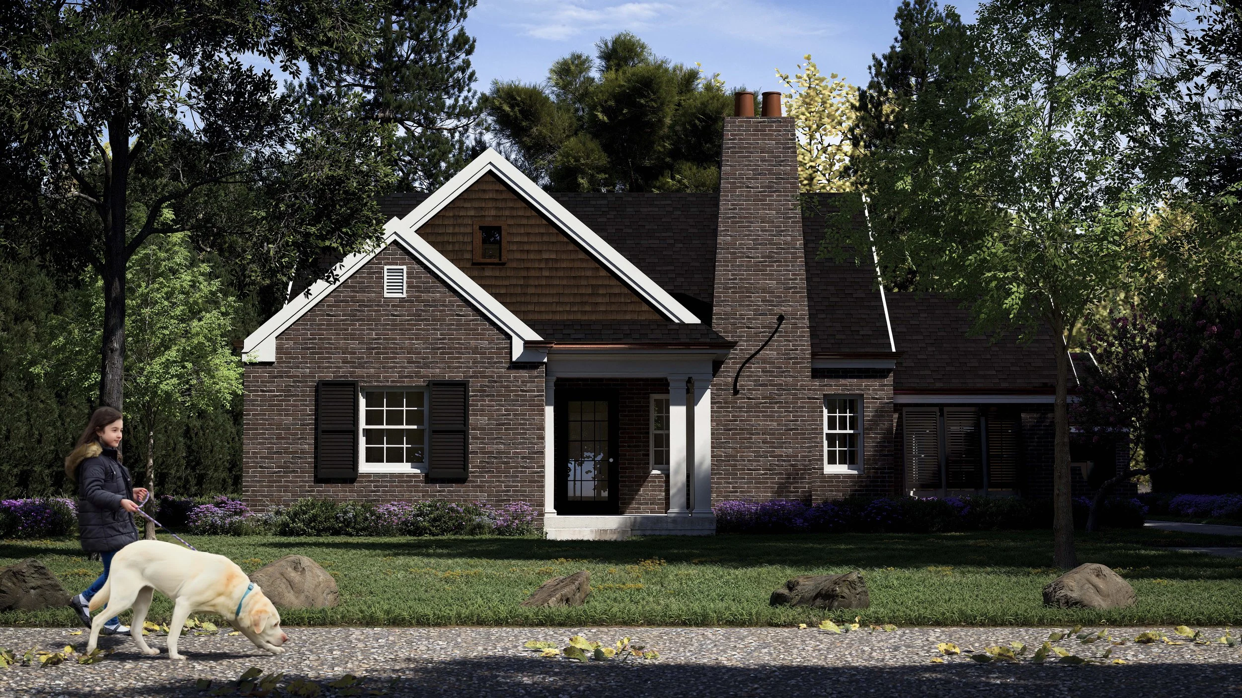 Brookefield Renovation