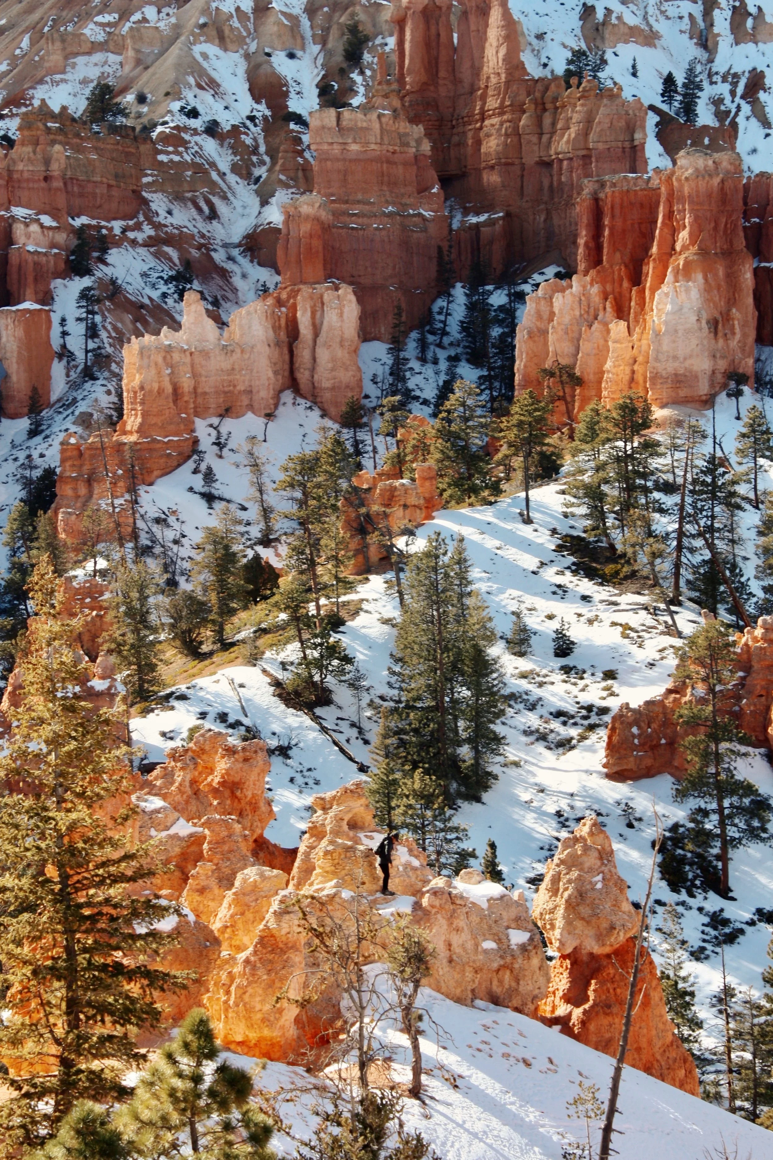 FullSizeRender (3).jpg