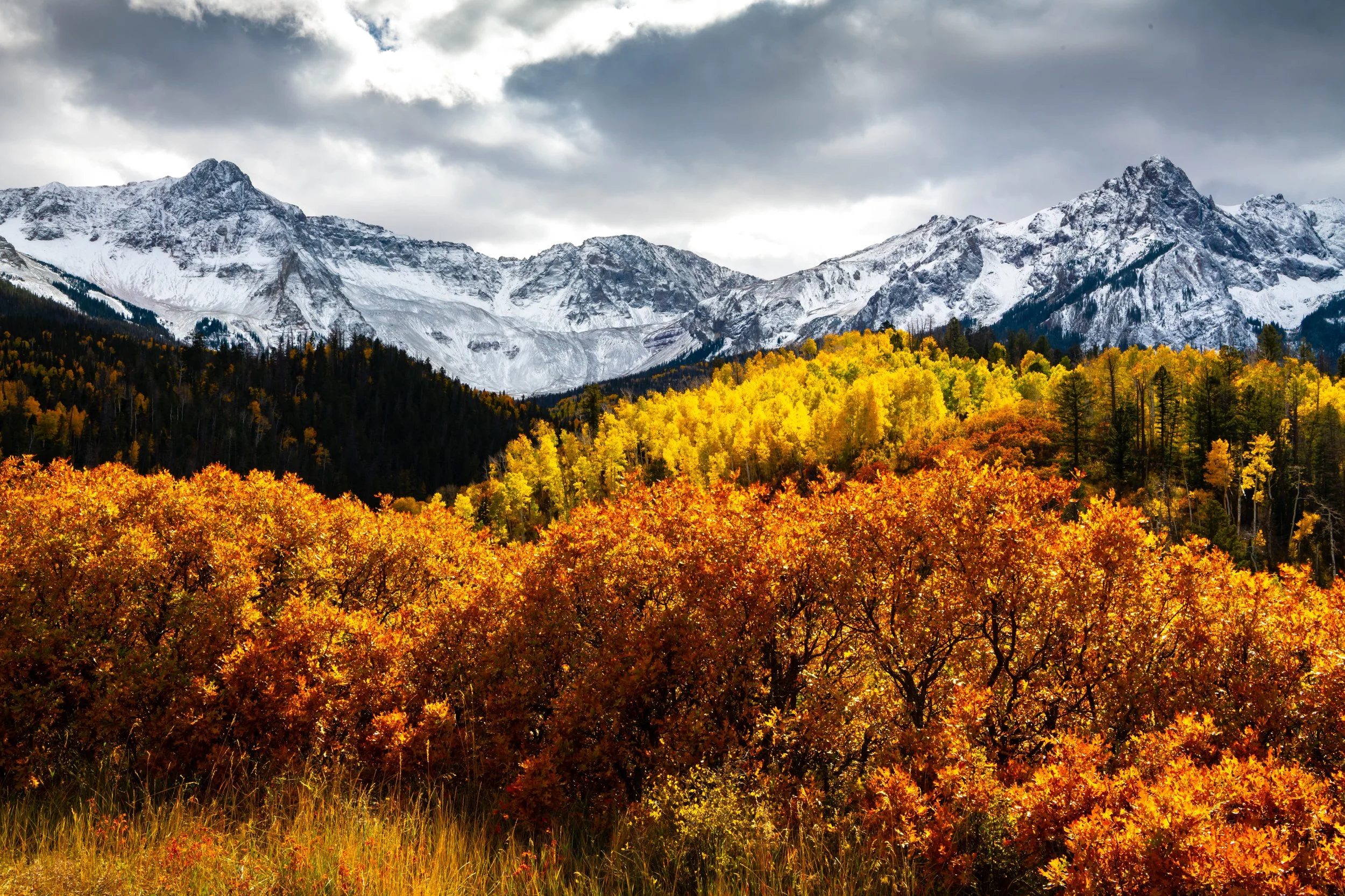 2025 Autumn in Colorado-36.jpg