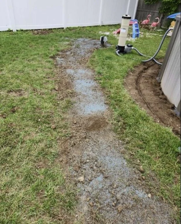 Rake and Seed.JPG