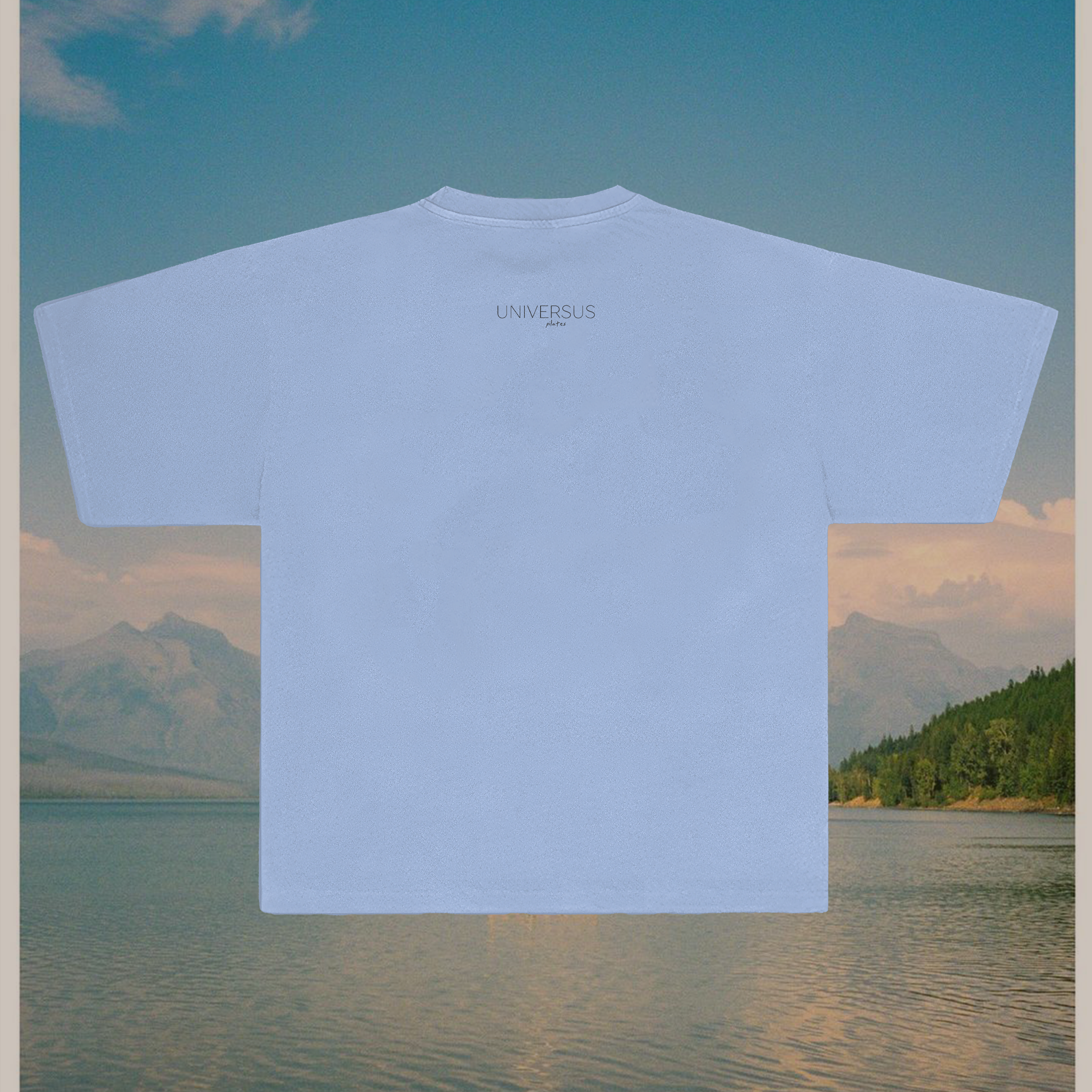 tshirt_BACK_bg.png