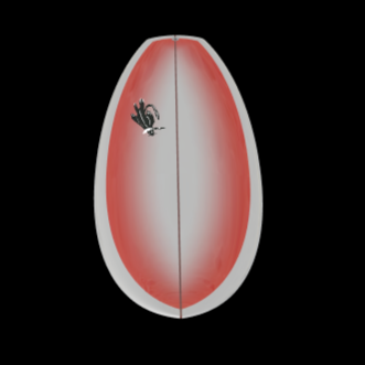 Das FSFW x Grischit Slalom im Äther