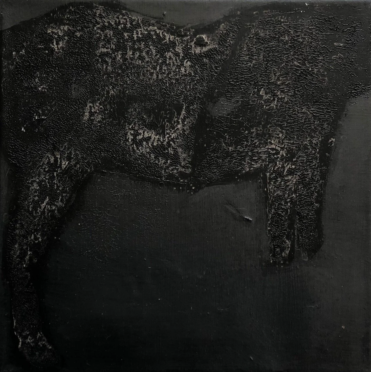 Lorenzo Romani, black horse, 2024