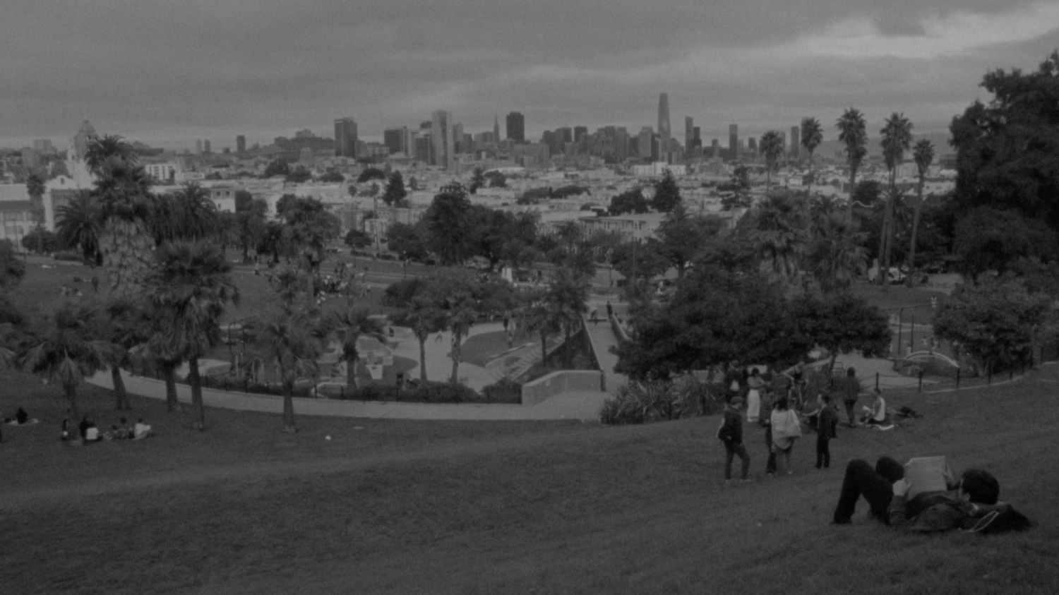 mhiof dolores park.png