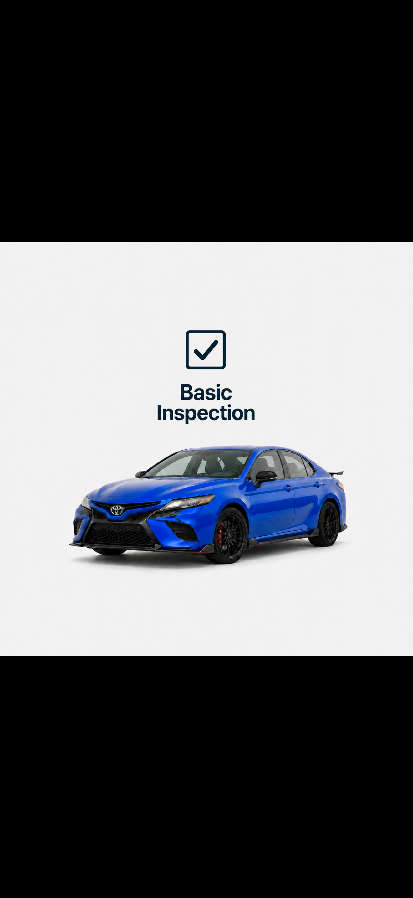 Basic Inspection