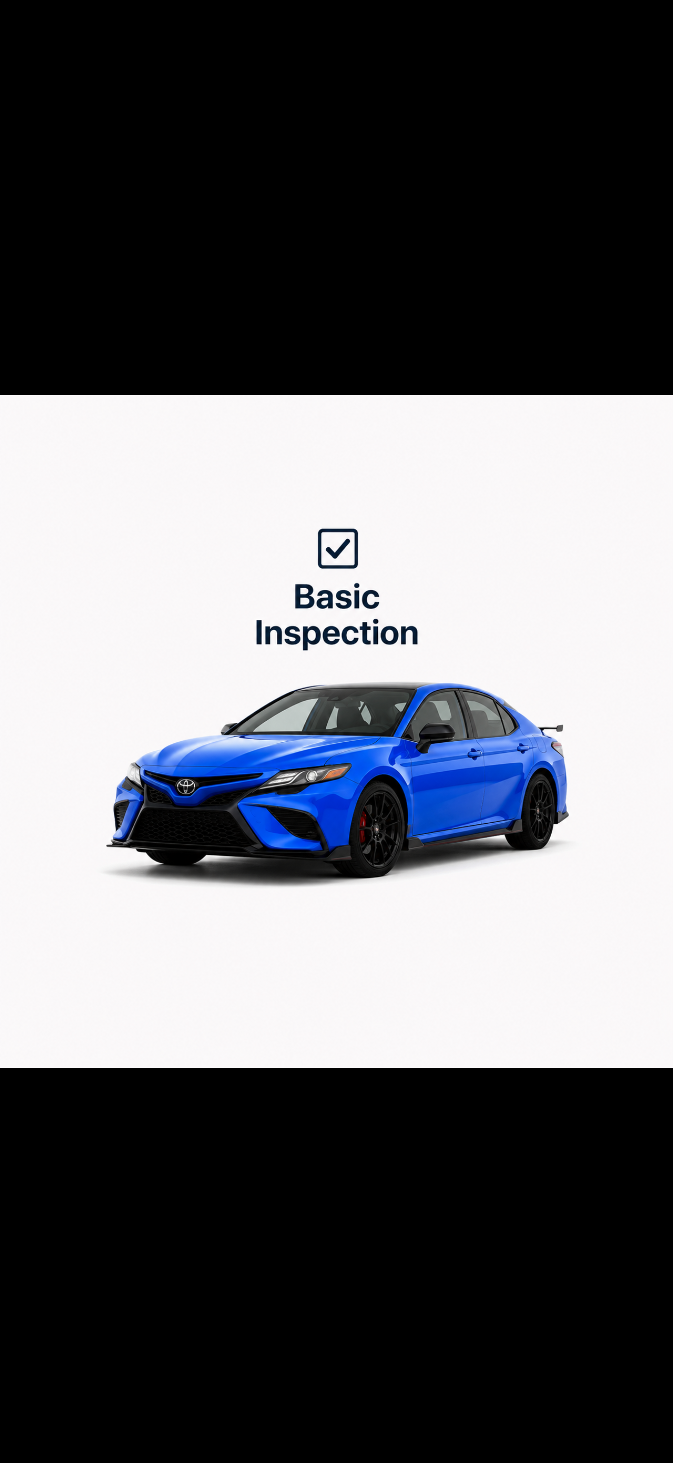 Basic Inspection