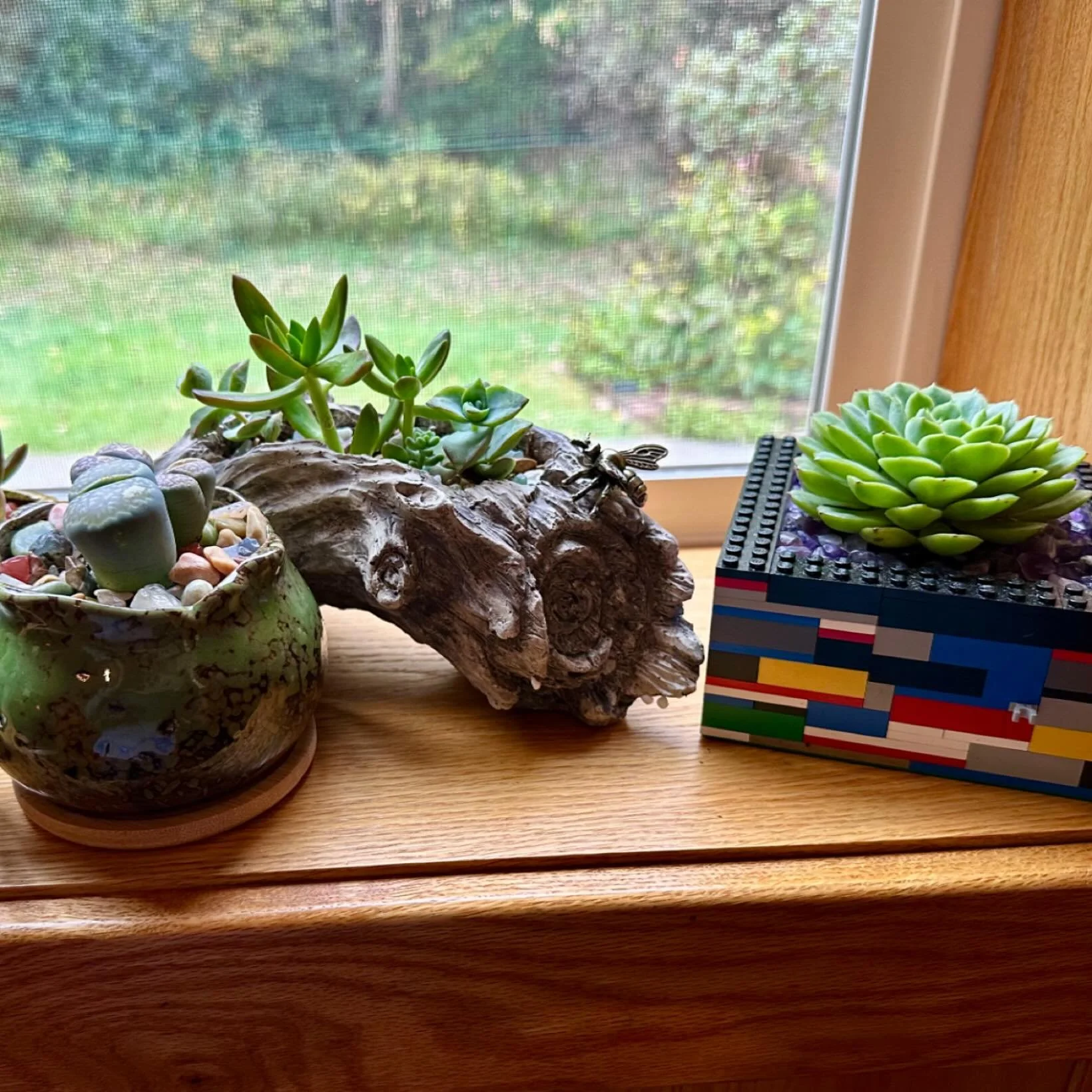 Plants With Personality 🌱

Every piece tells a story &mdash; from Lego-built planters to driftwood designs and hand-potted succulents in decorative vessels. Each one is styled with creativity, care, and a touch of play.

Perfect for gifting or addin