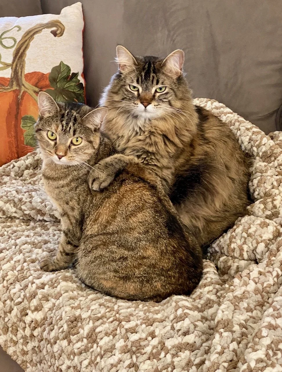 A Thanksgiving Portrait From the Studio