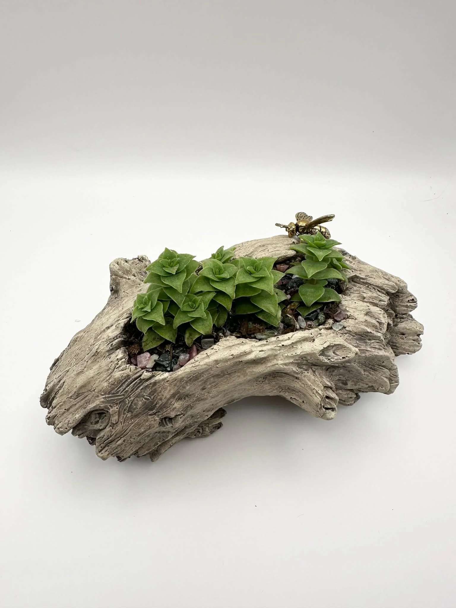 There&rsquo;s something grounding about these driftwood pieces &mdash; a little bit sculptural, a little bit wild. Each one is hand-potted with succulents that settle naturally into the ridges and curves, becoming tiny landscapes of texture and life.