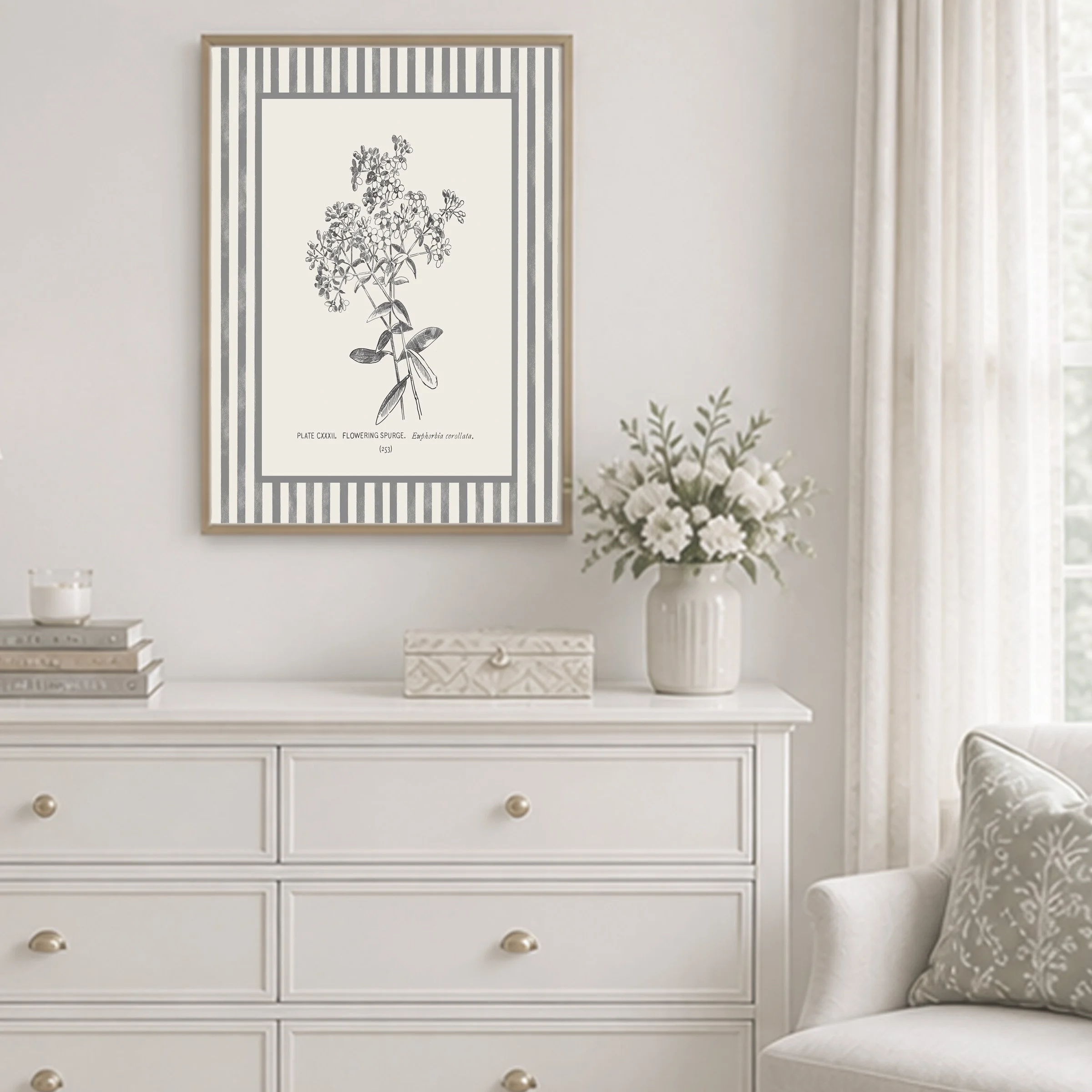 253 Display 1.jpg
