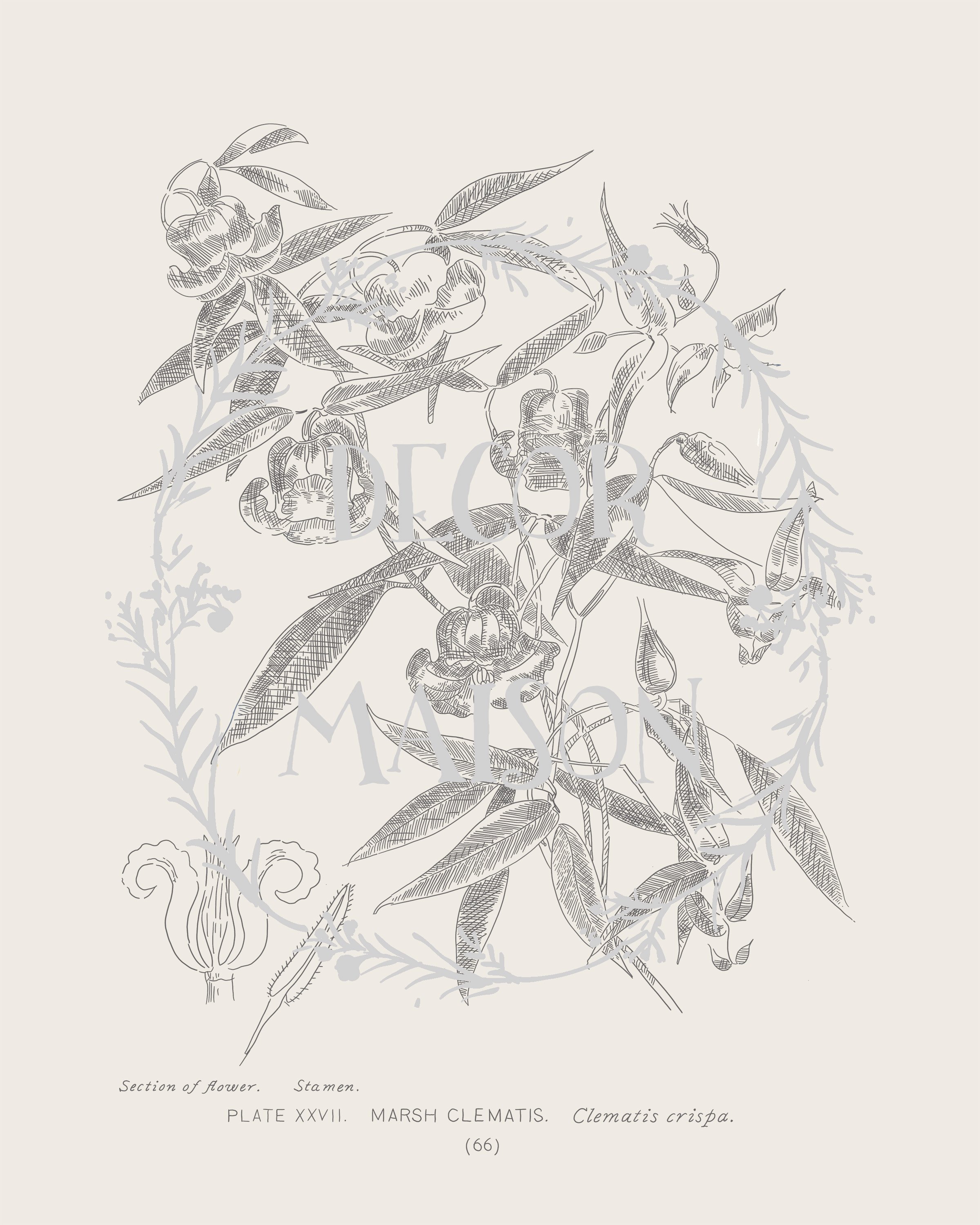 Plate 66 - proof.psd.jpg