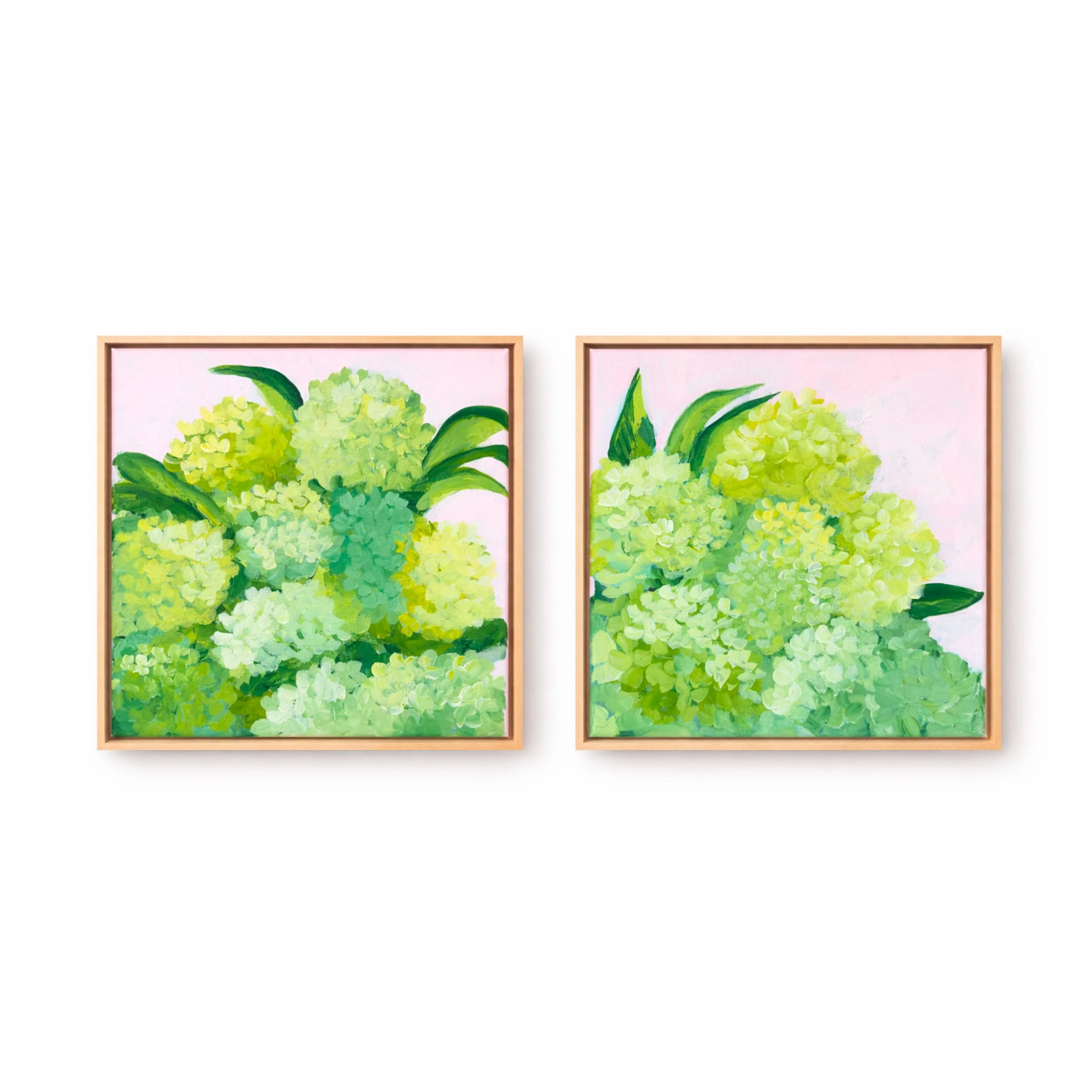 2 Hydrangeas display 2.jpg
