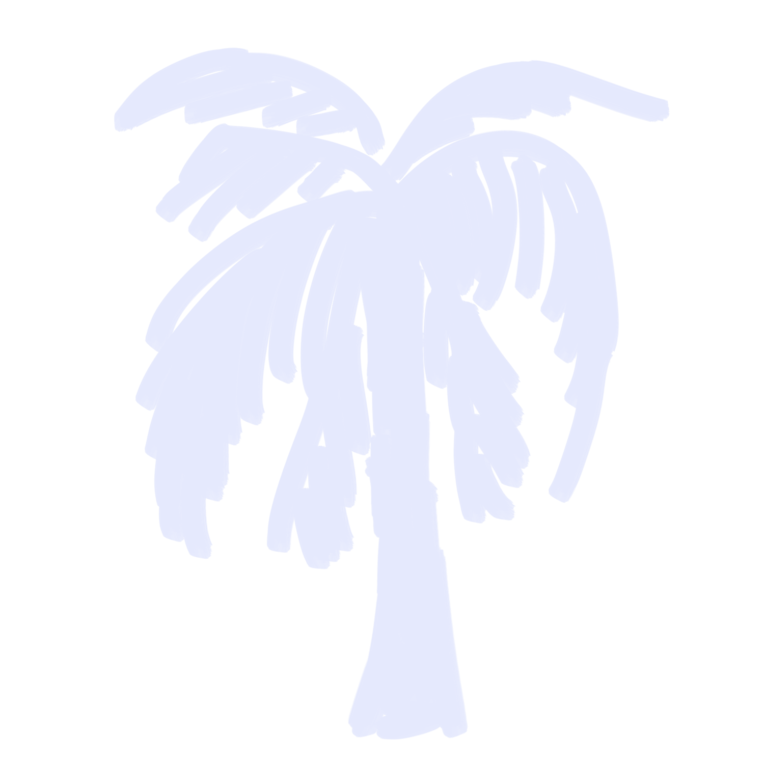 Silhouette of a palm tree with large leaves on a black background.