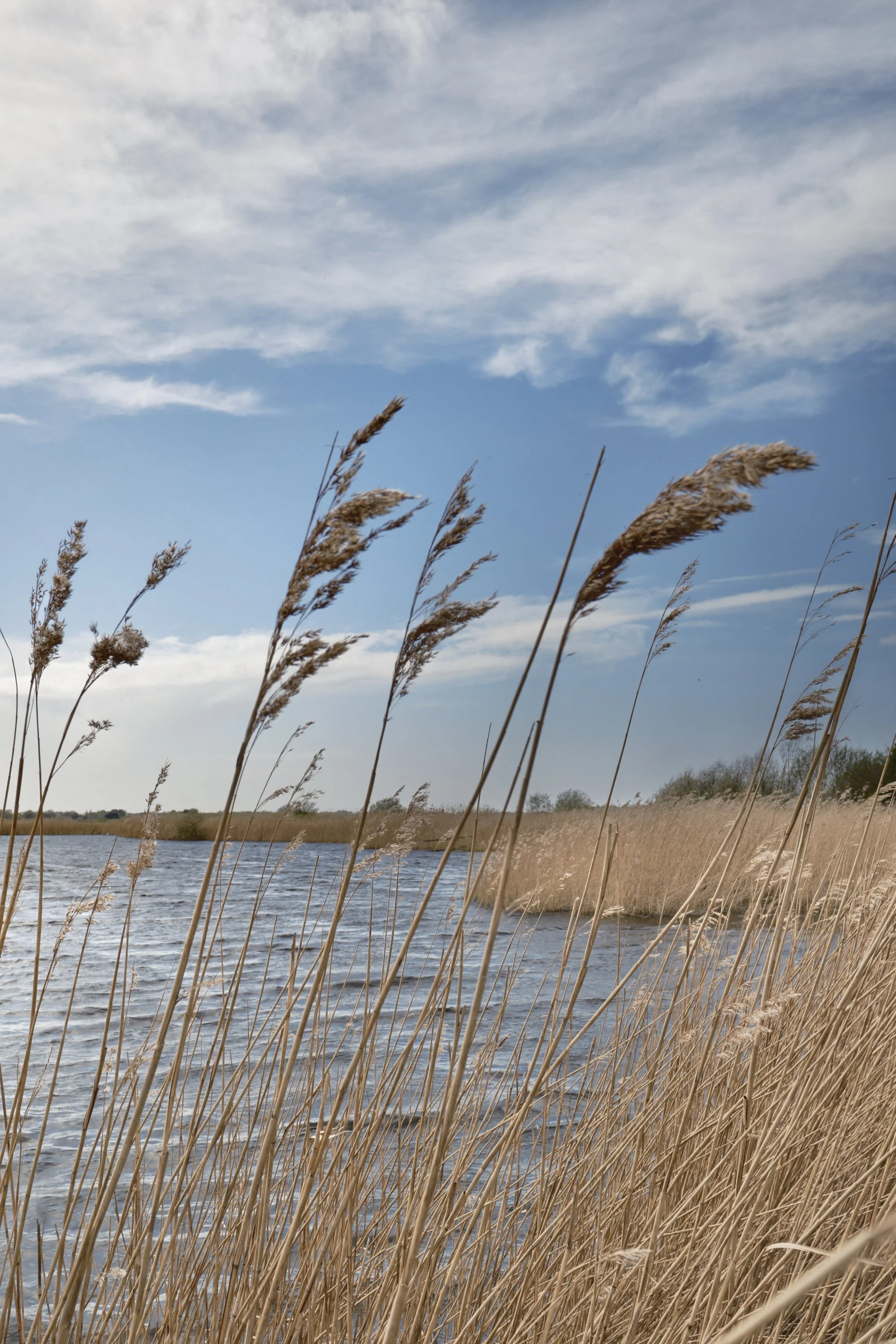 The Lost Lake: People & Rural Landscape of the Lancashire Plain