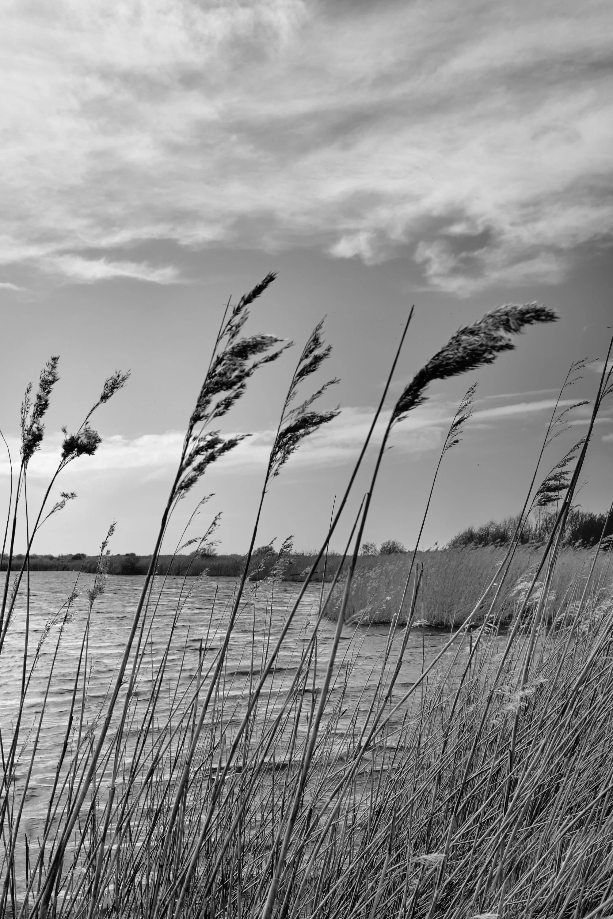People & Rural Landscape; The Lost Lake
