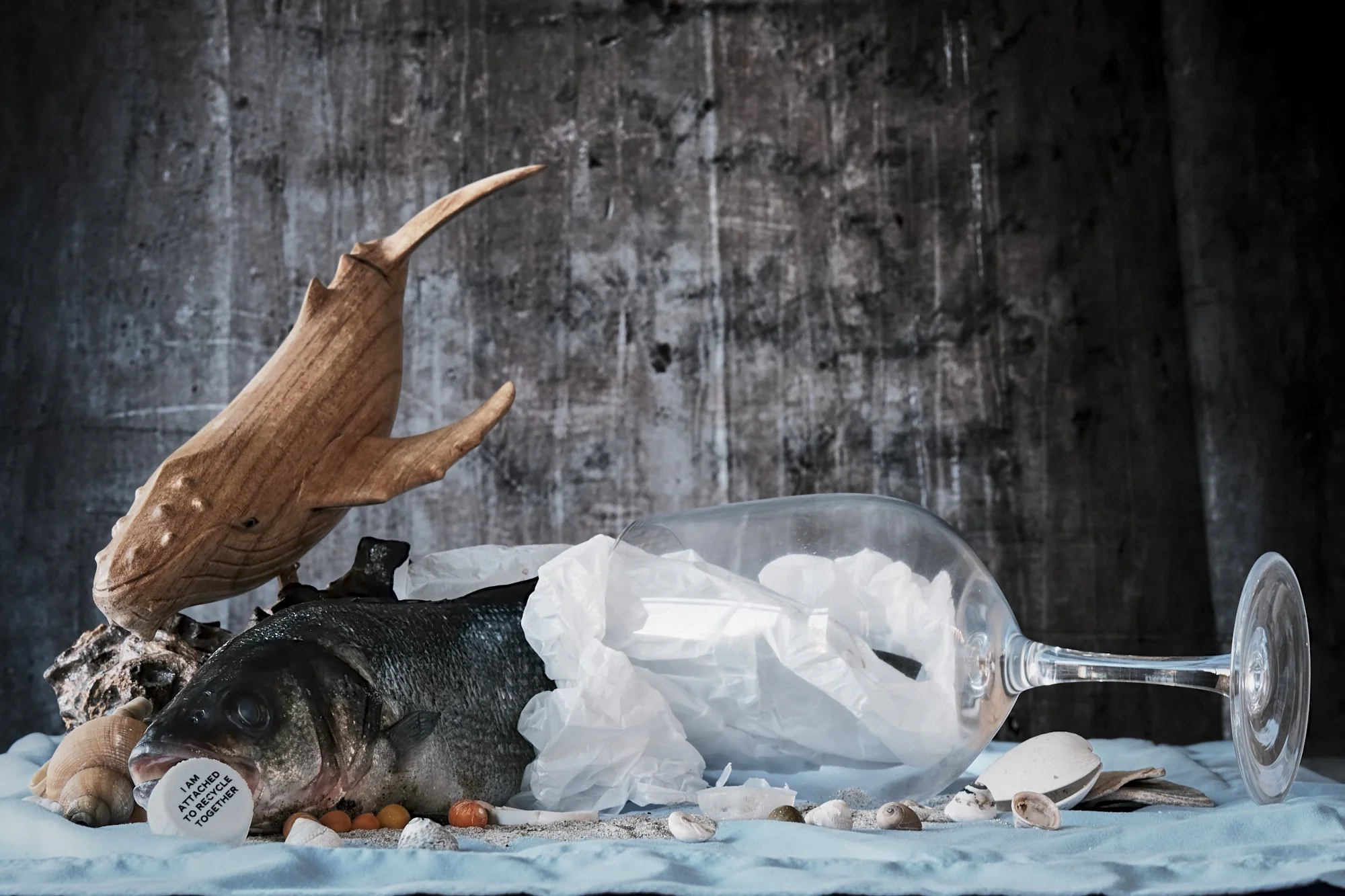 Assignment 1 - Still Life