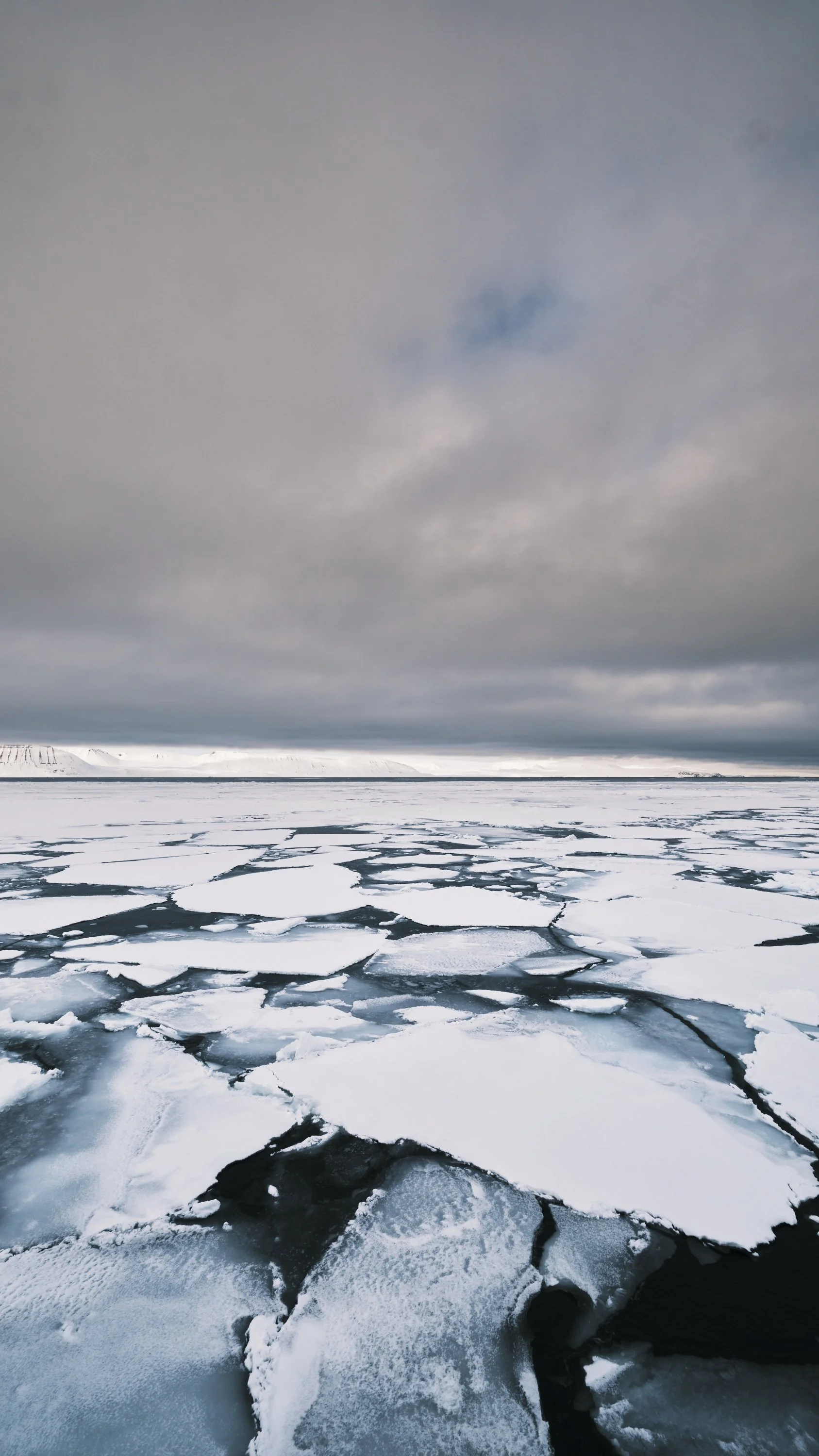 Svalbard_0526_Palanderbukta_PackIce_8178.jpg
