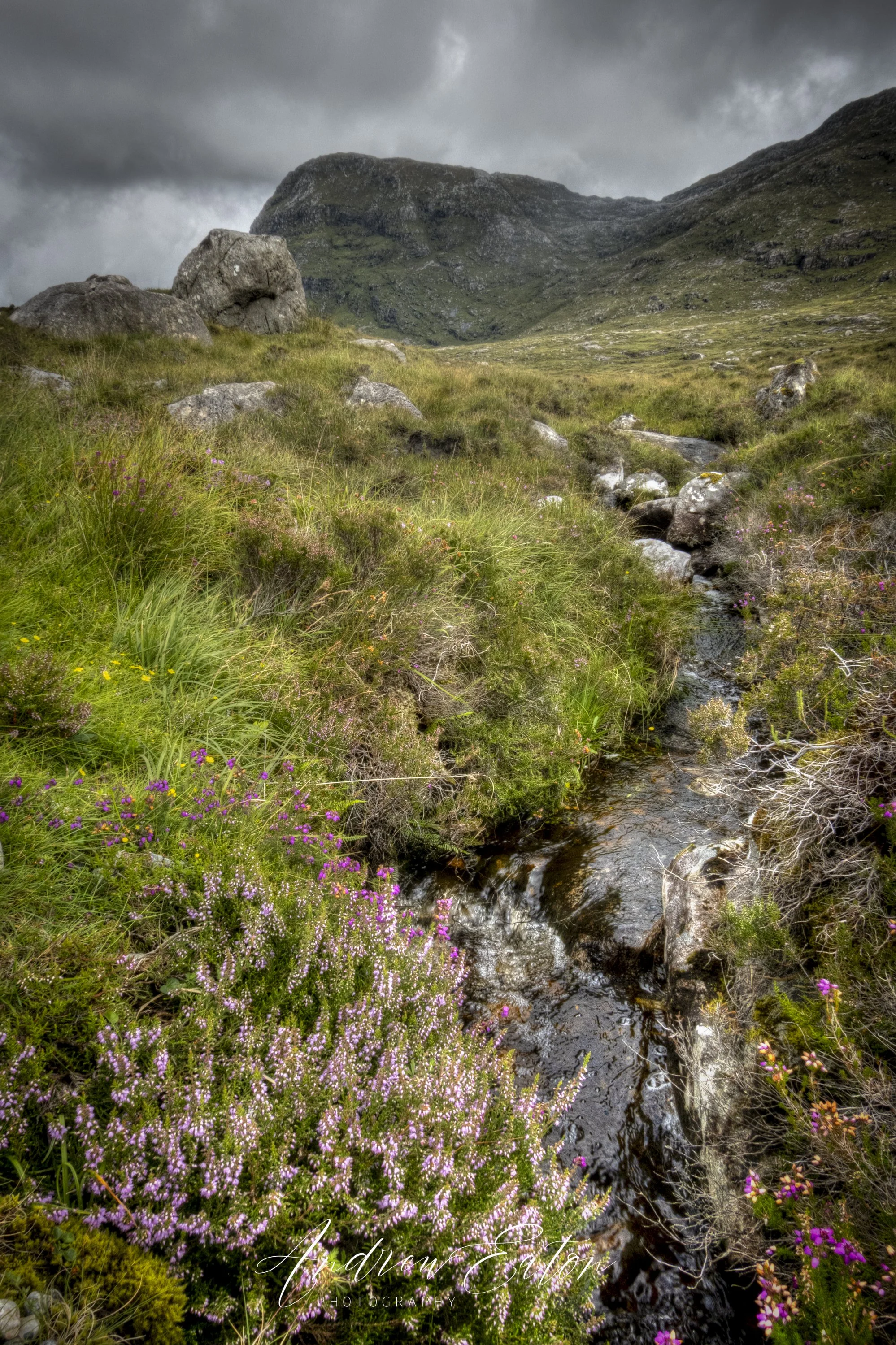 Near North Harris Eagle Observatory
