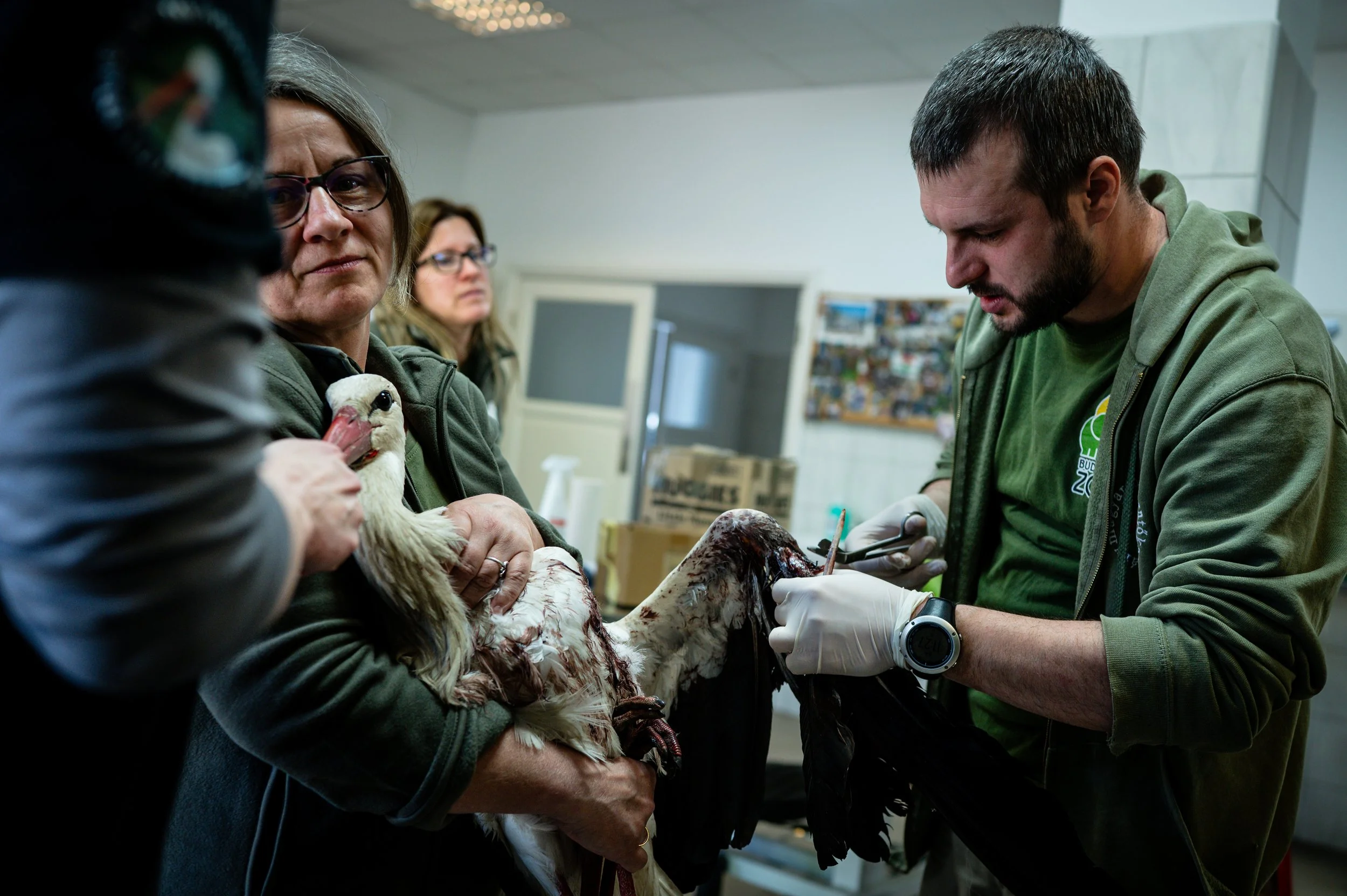DIA__7-260408_Rescuecenter.jpg