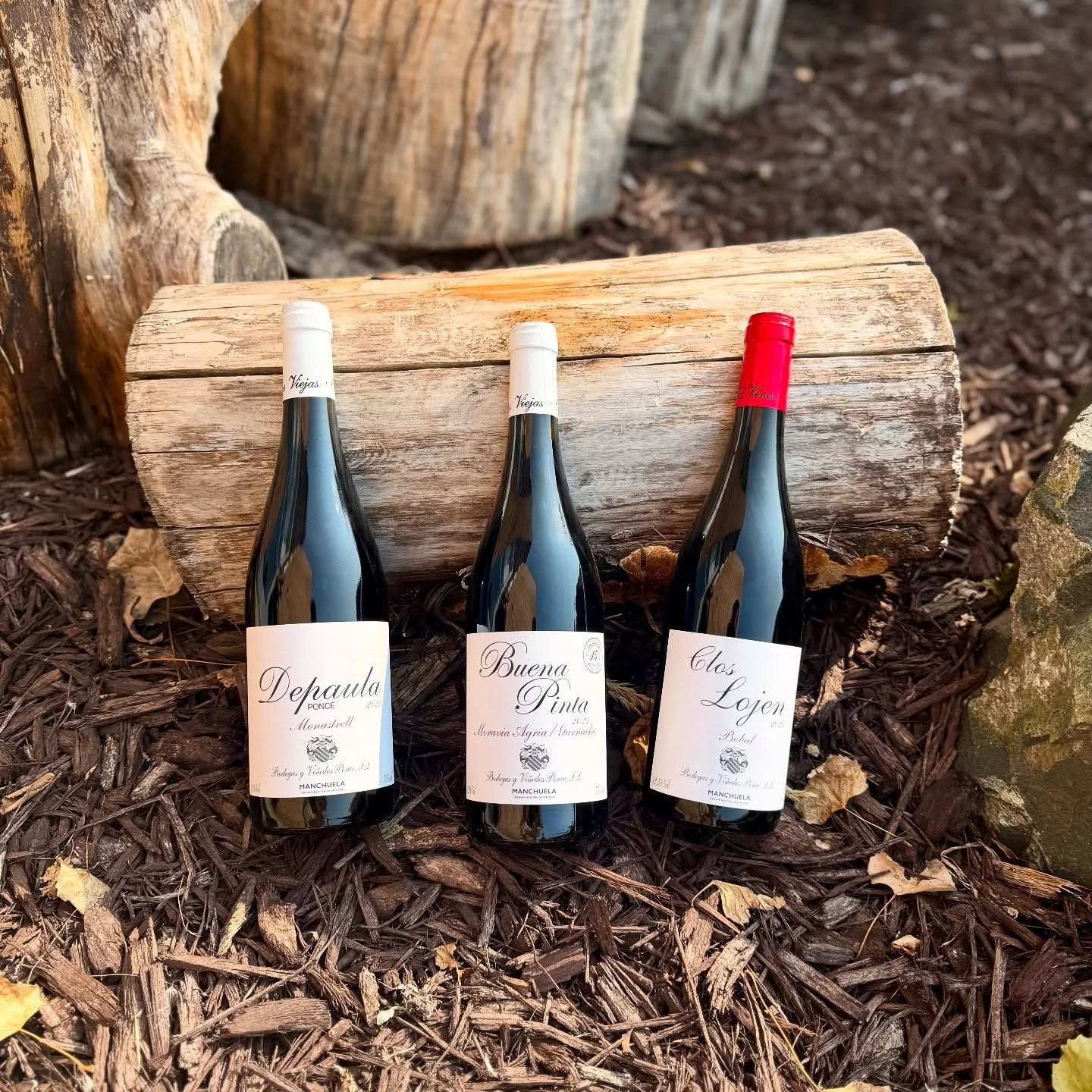🍷!! WINERY SPOTLIGHT !!🍷🚨

So excited for these beautiful wines from @tedward_ws !!

👨🏽&zwj;🌾: Bodegas Ponce - @bodegasponce 

At Bodegas Ponce S.L. Juan Antonio Ponce taps a network of old vineyards throughout the southwestern Manchuela region