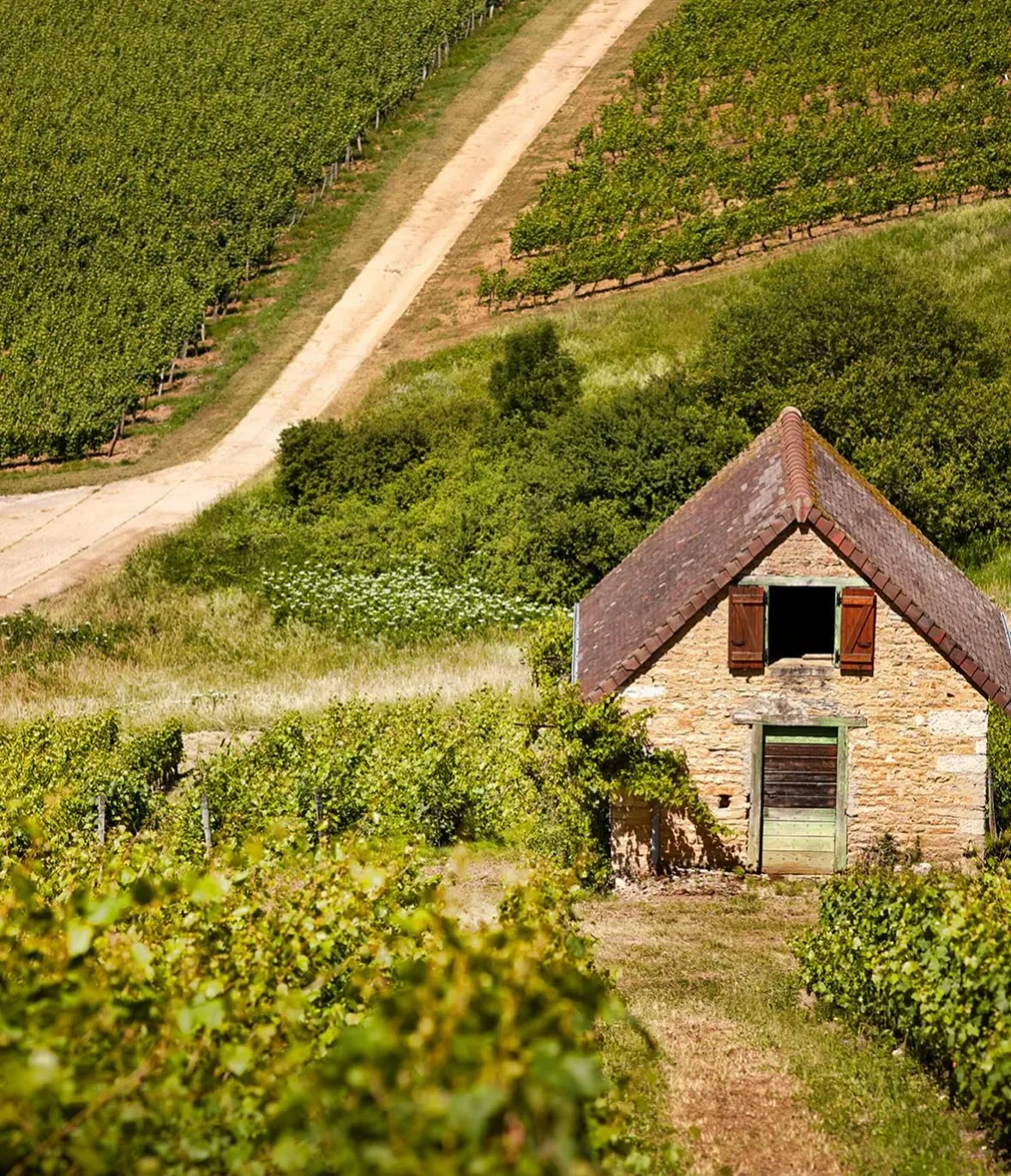 The Jurassic winery Domaine Rolet was founded in 1942 by D&eacute;sir&eacute; Rolet; today it is led by director C&eacute;dric Ducot&eacute;, cellarmaster Chlo&eacute; Weber and head of viticulture, Louis Morel. Since their takeover the domaine has r
